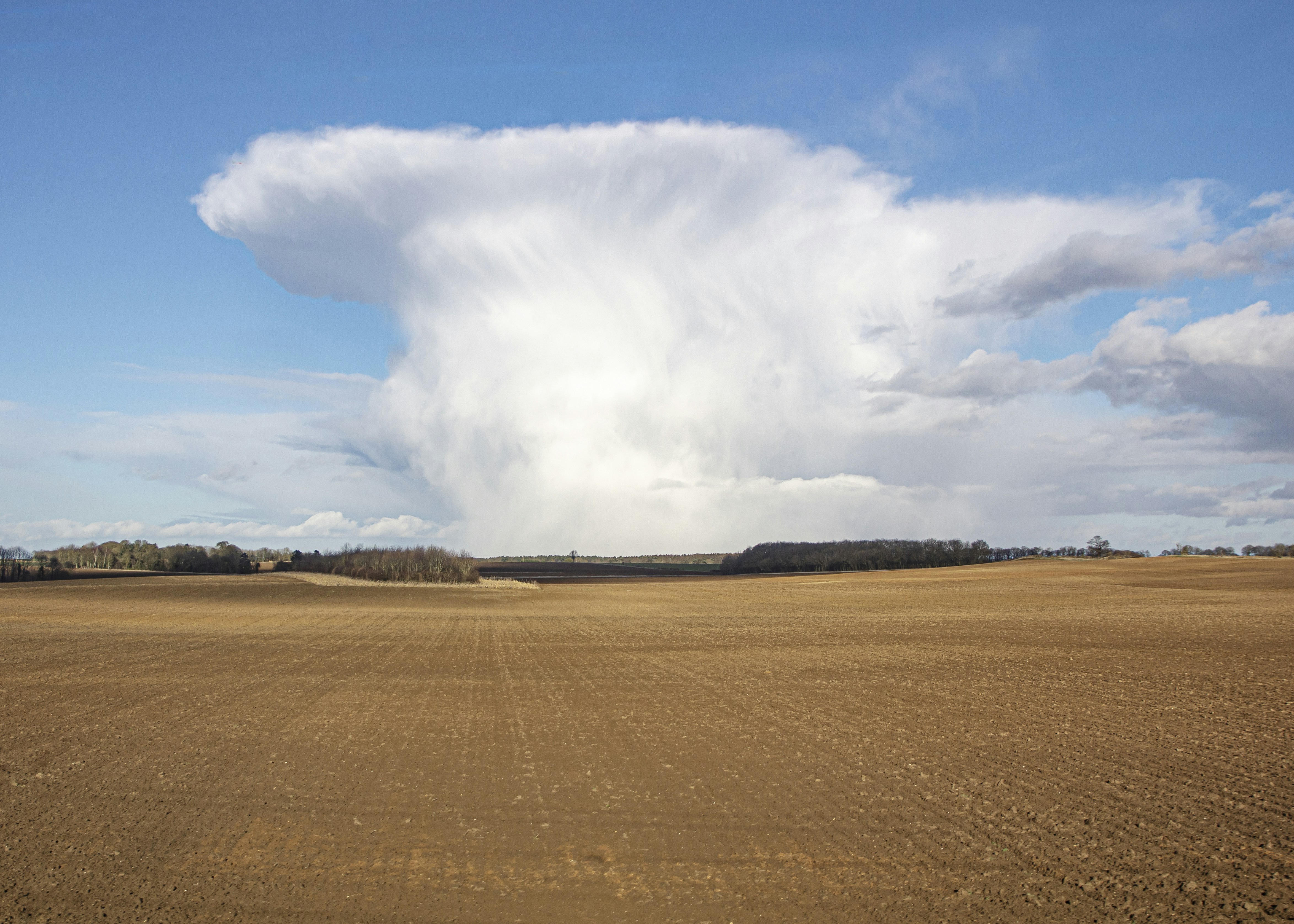 Un grande campo con una grande nuvola nel cielo