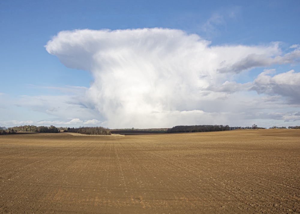 a large field with a large cloud in the sky