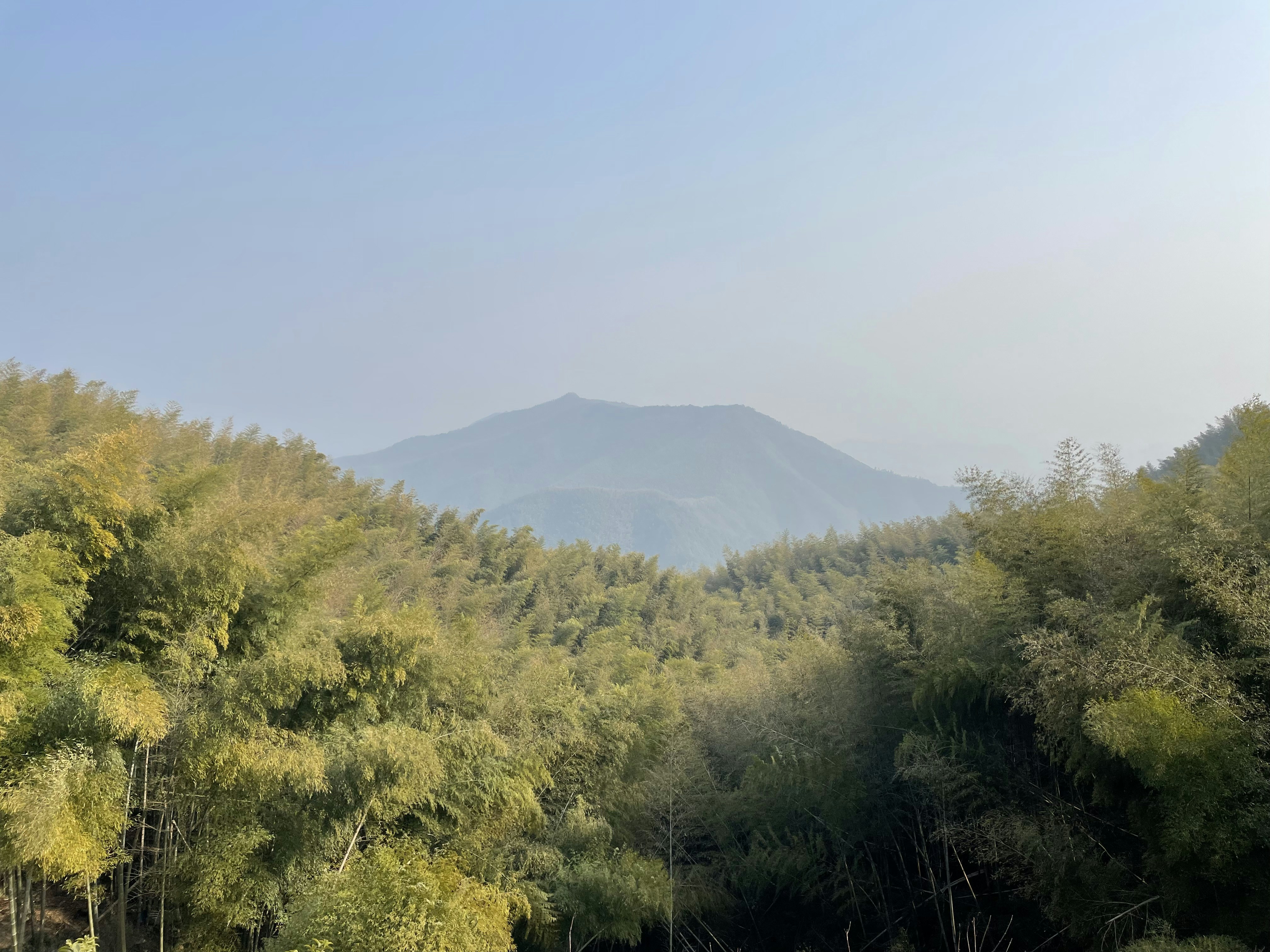 Photo by leoearthancha