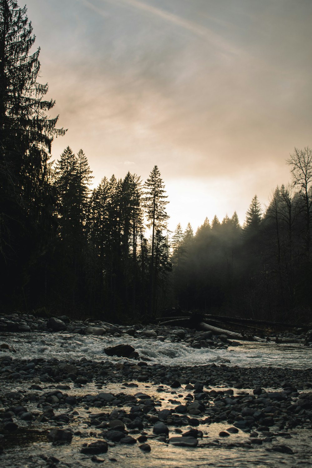 a river running through a forest under a cloudy sky