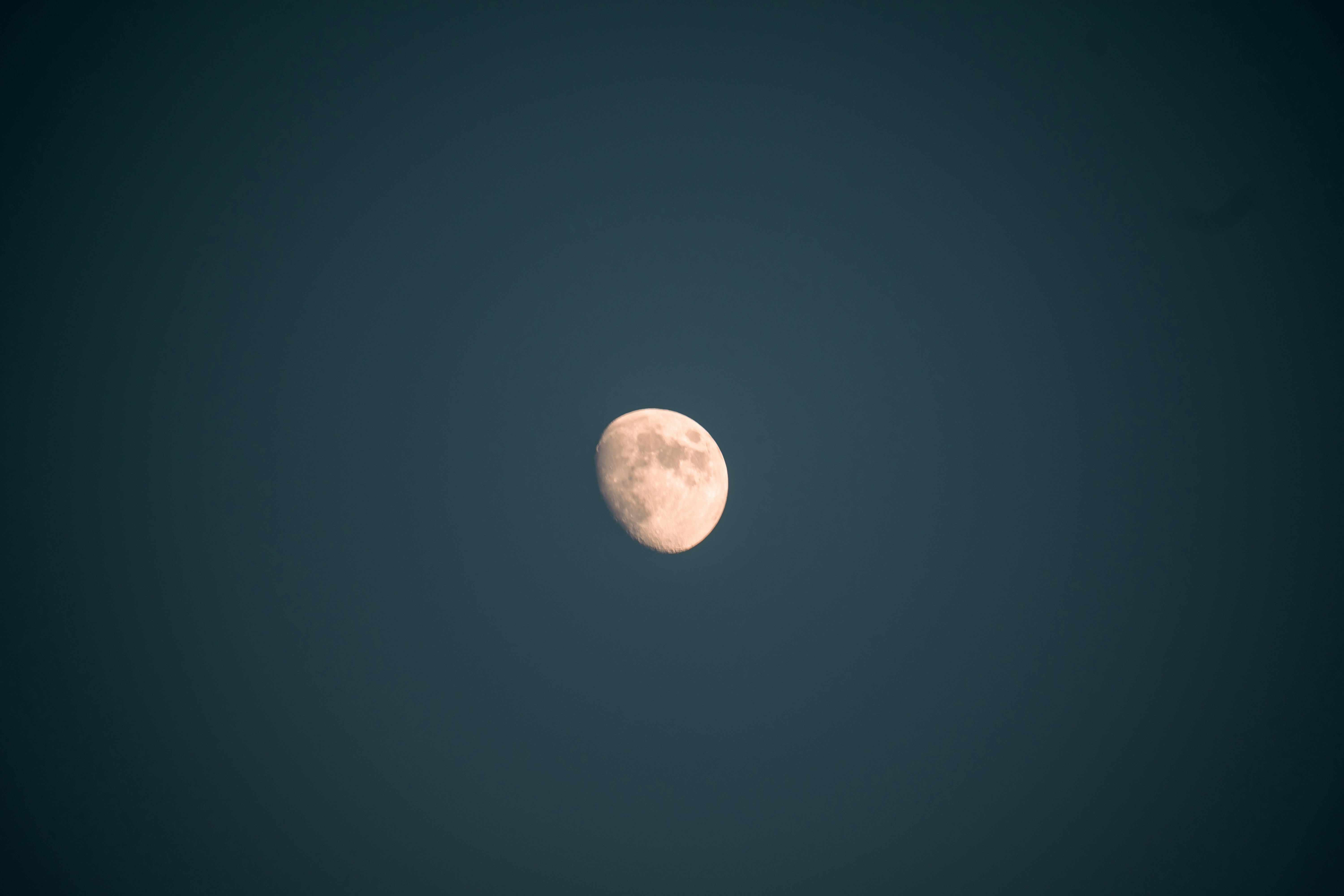 Photo by thatkidpayt