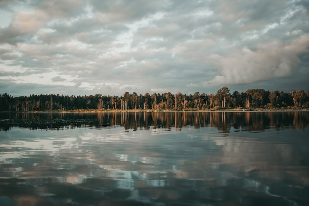 a large body of water surrounded by trees