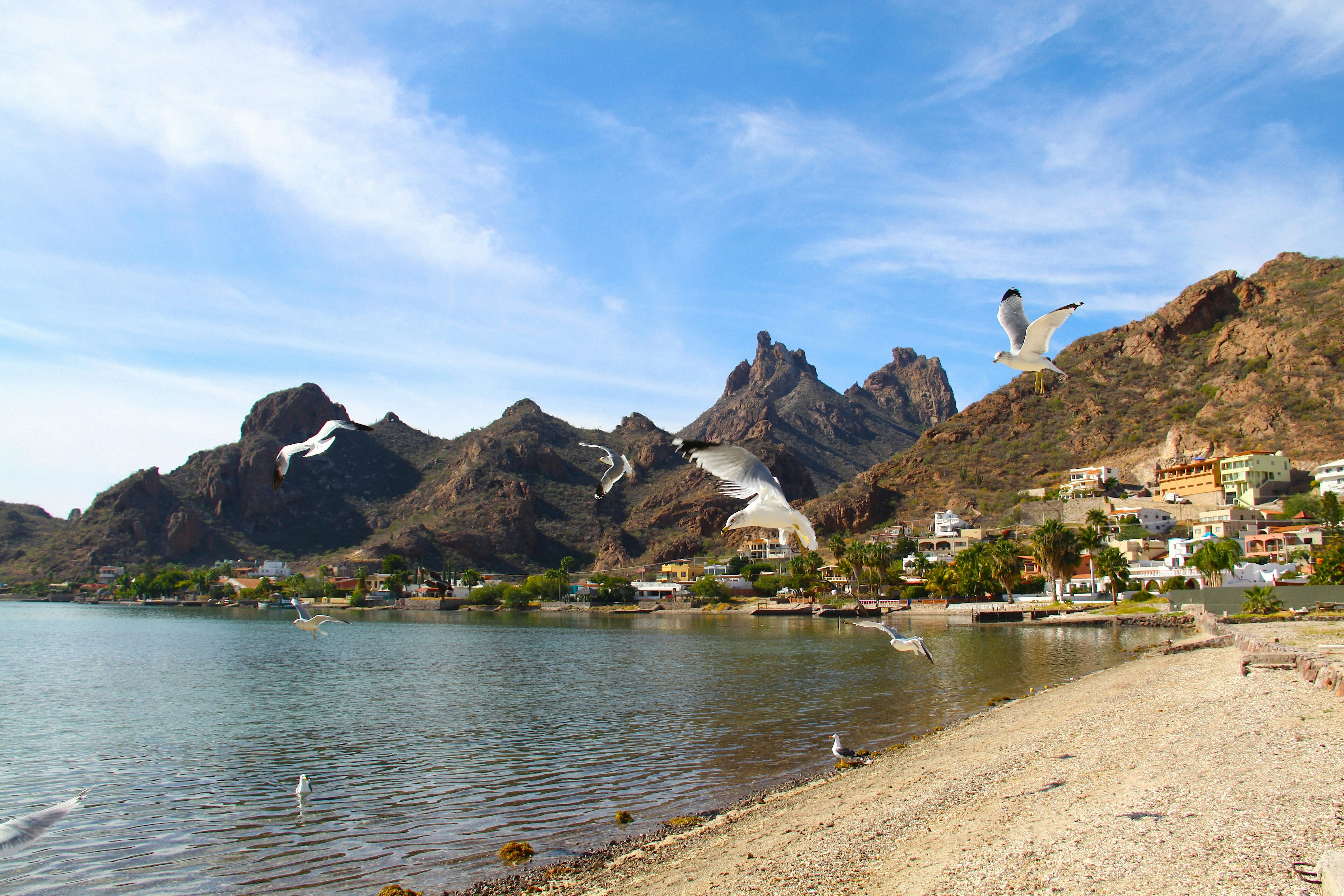 Photo by victor_esquer