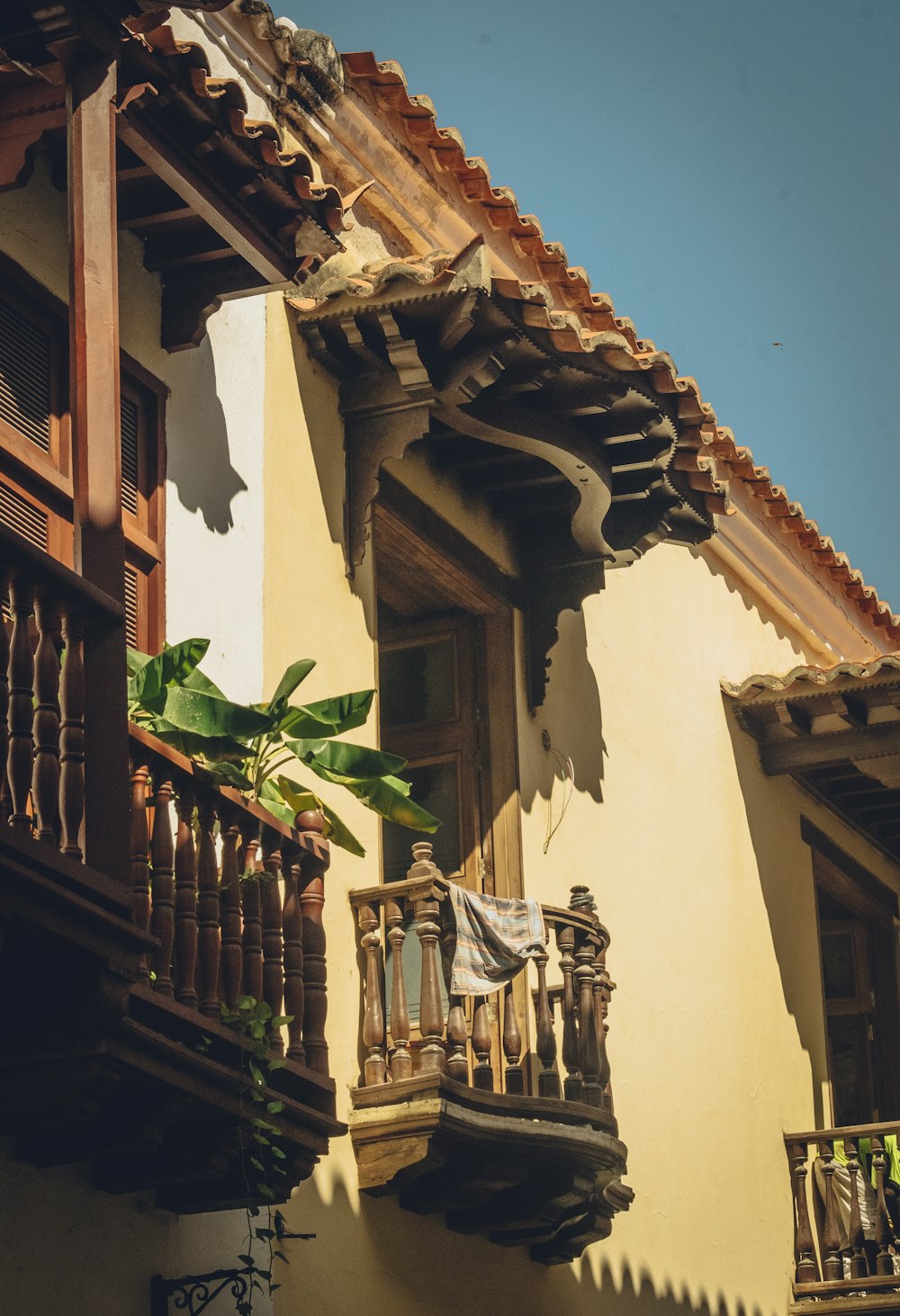 un balcón de un edificio con una planta en el balcón