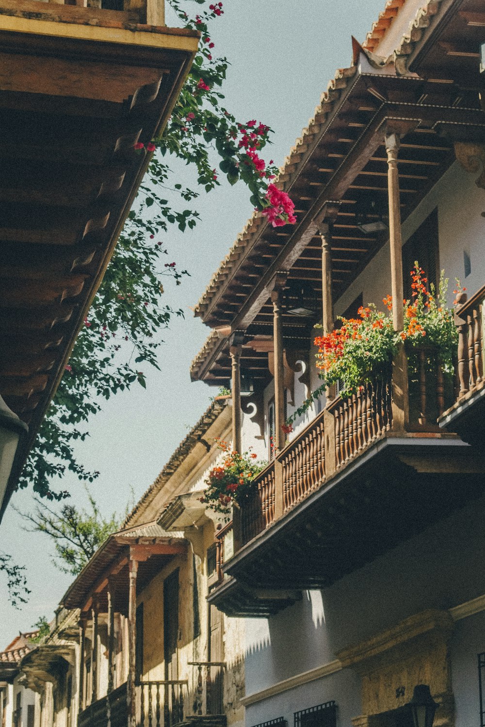 a row of buildings with balconies and flowers on the balconies