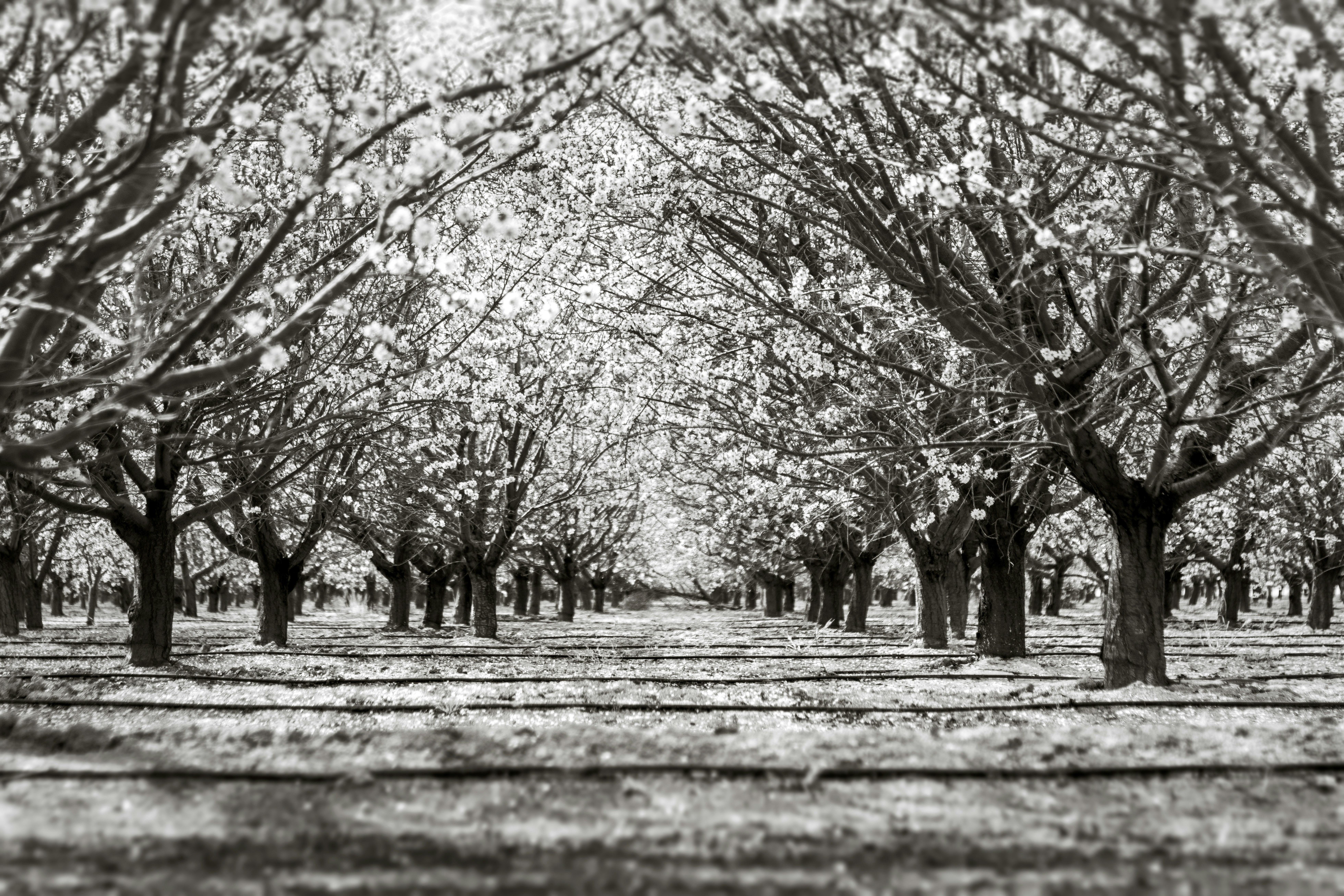 Photo by timmossholder