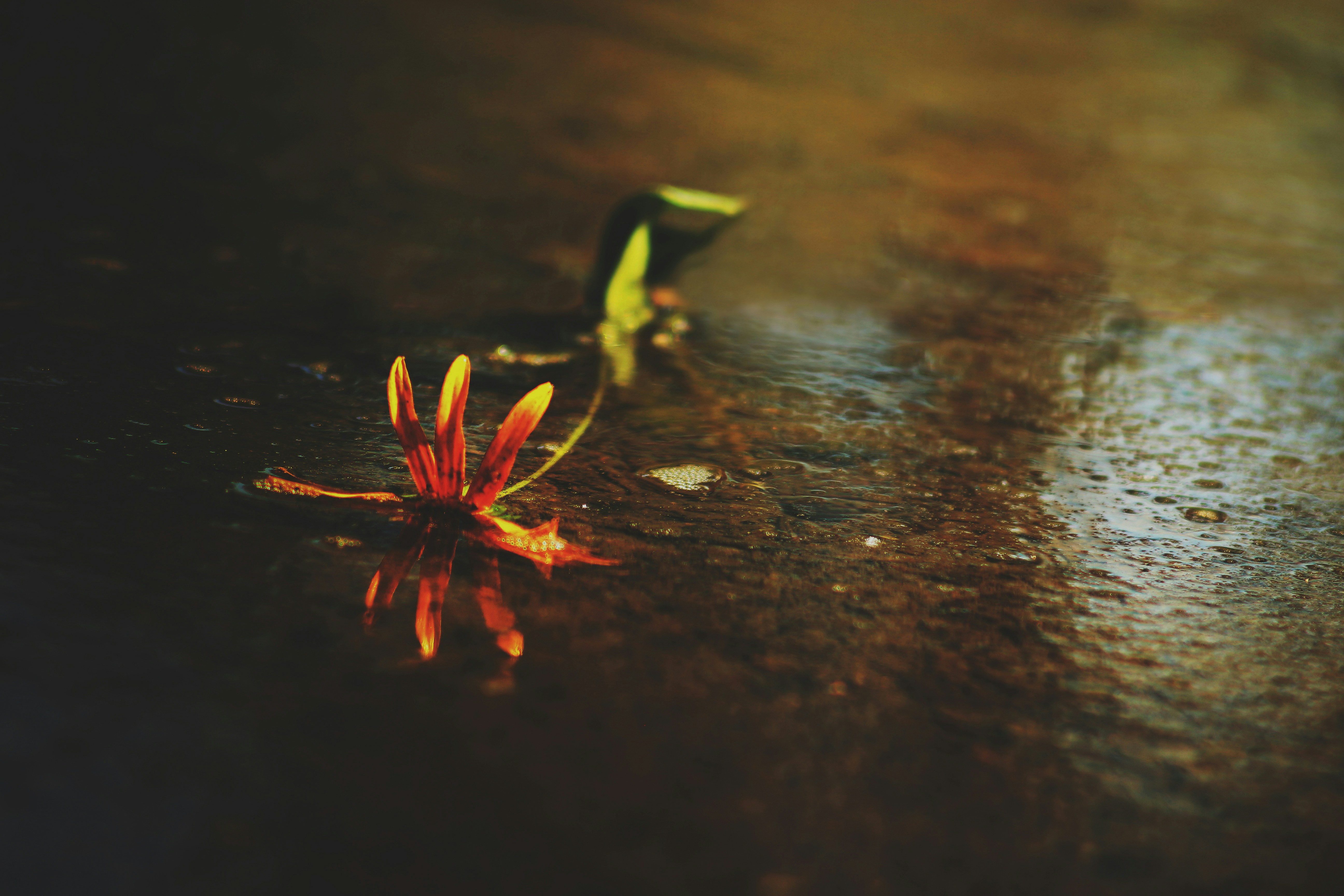 Photo by miloslopusina