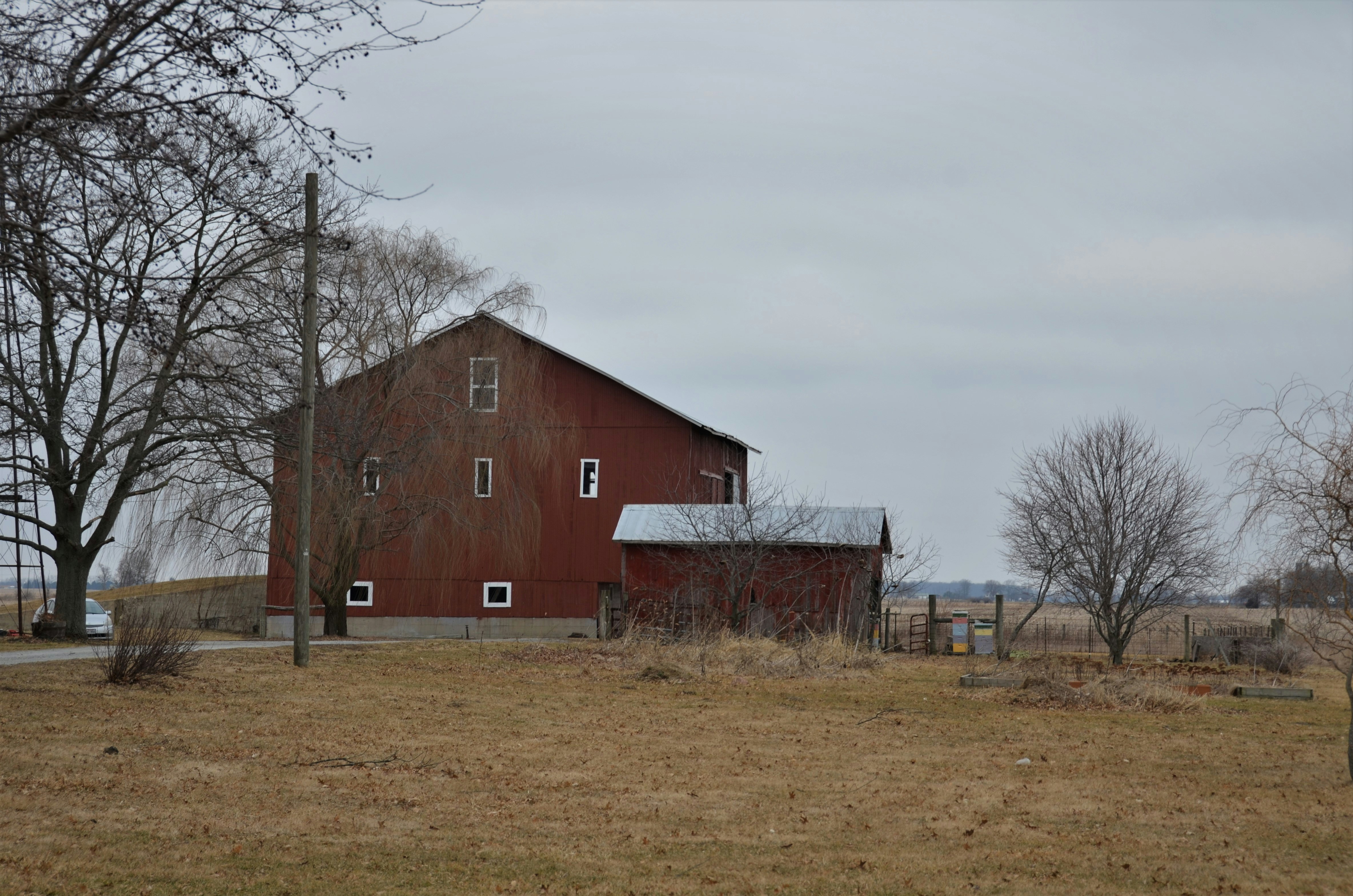 Choosing Between Repair And Replacement For Commercial Roofs In Sydney