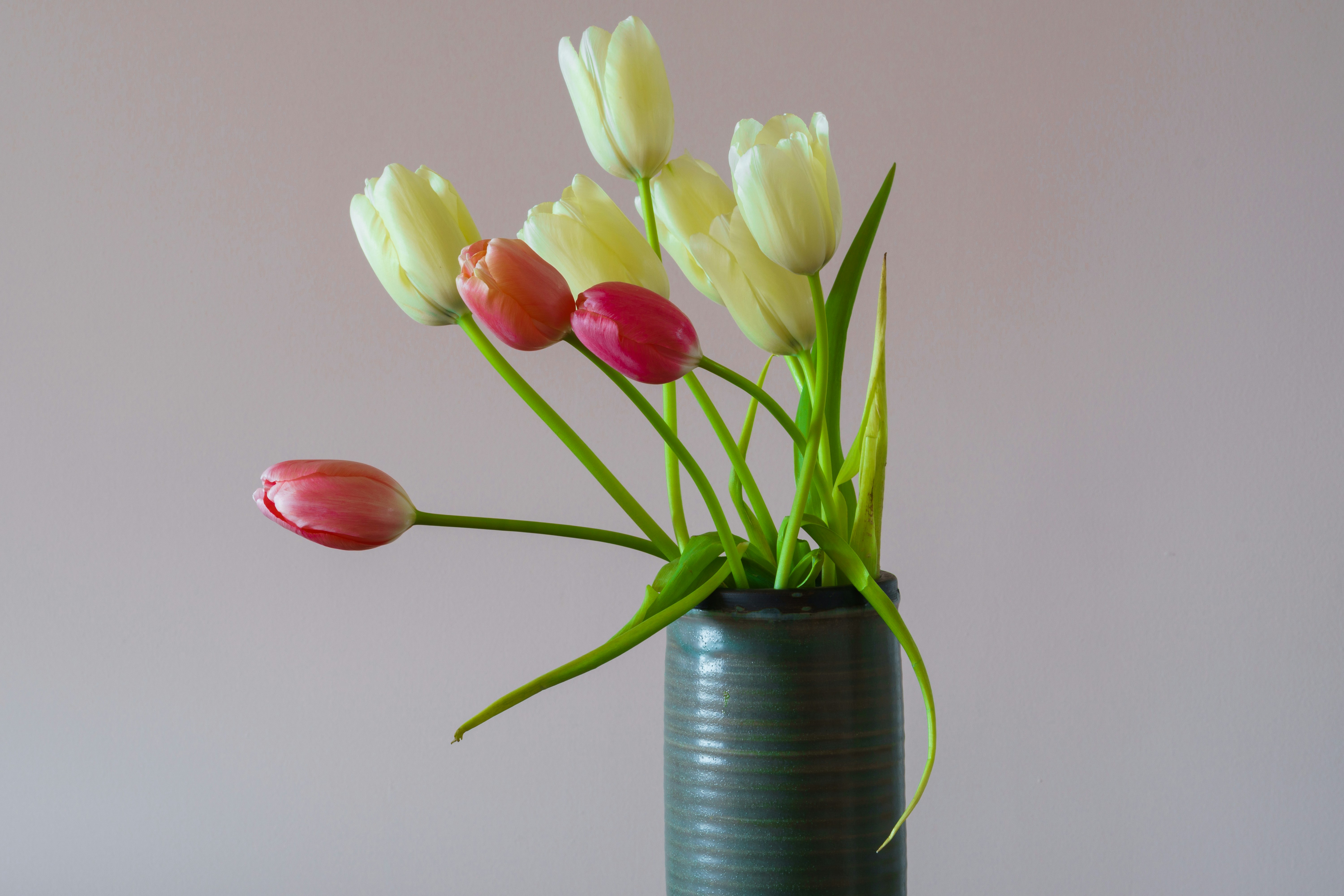 Photo by earl_plannerzone