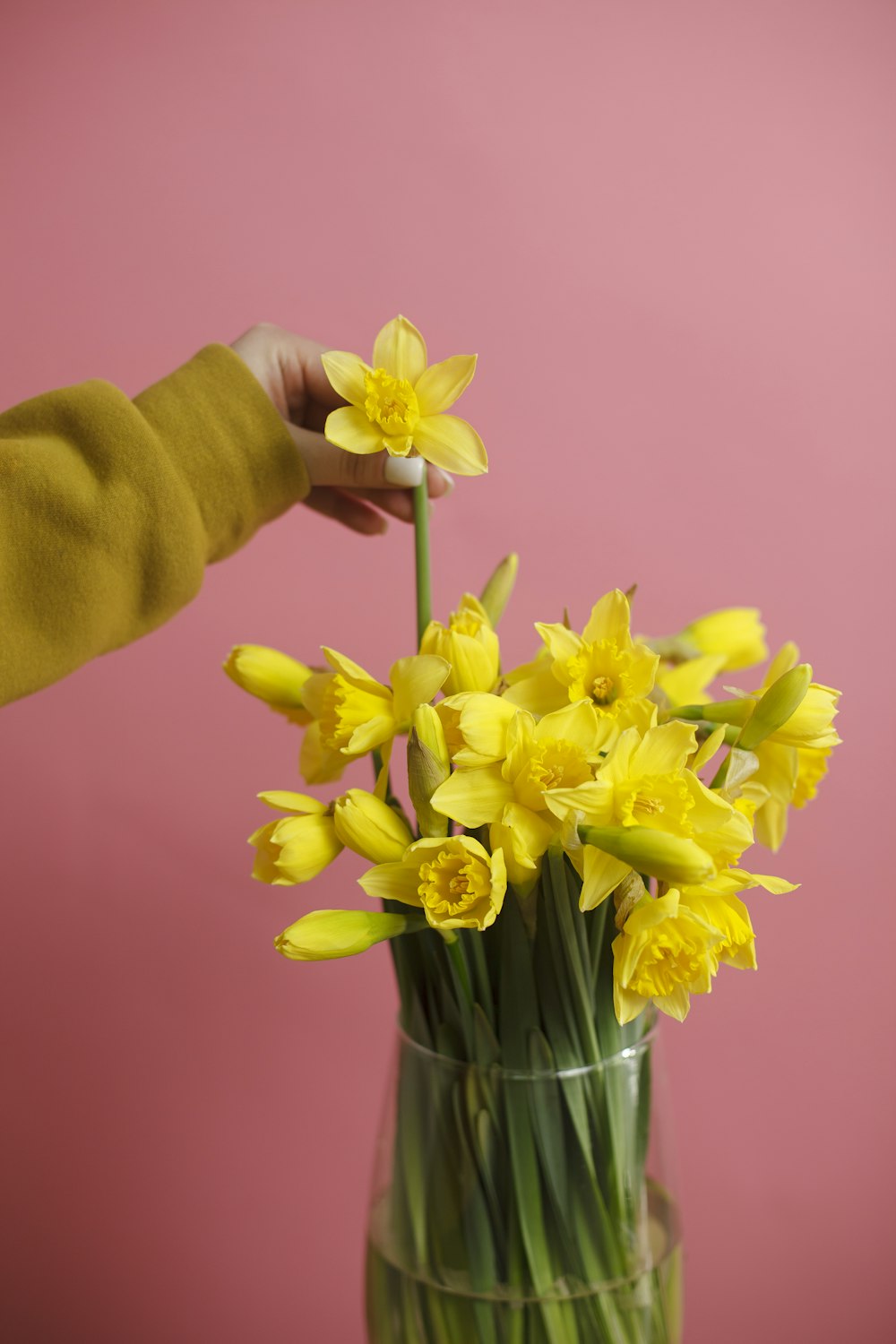 a vase filled with yellow flowers on top of a table