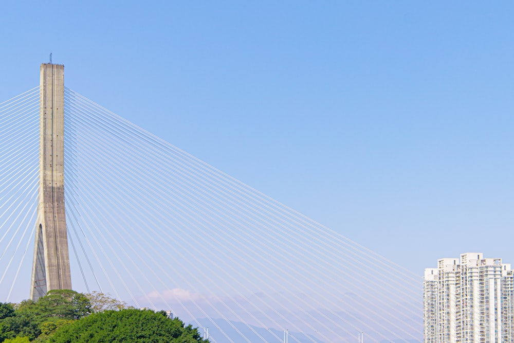 a tall bridge spanning over a river next to tall buildings