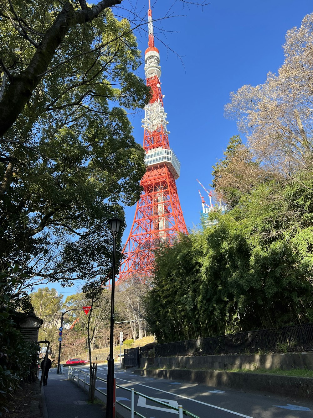 the eiffel tower towering over the city of paris