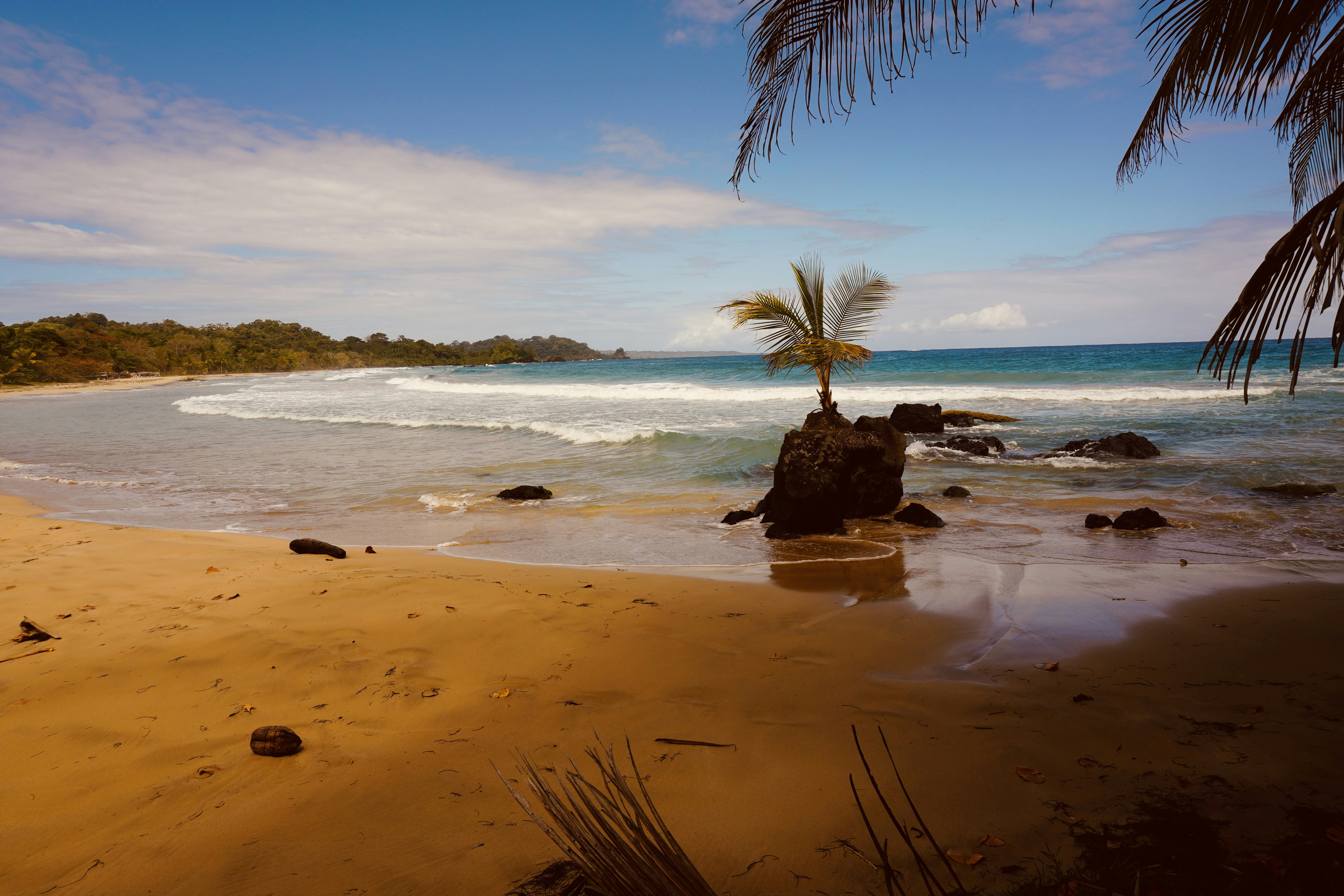 Bastimentos Islands, Bocas del Toro - Panama<br>Red Frog Beach<br><br>photo made by rouichi / switzerland