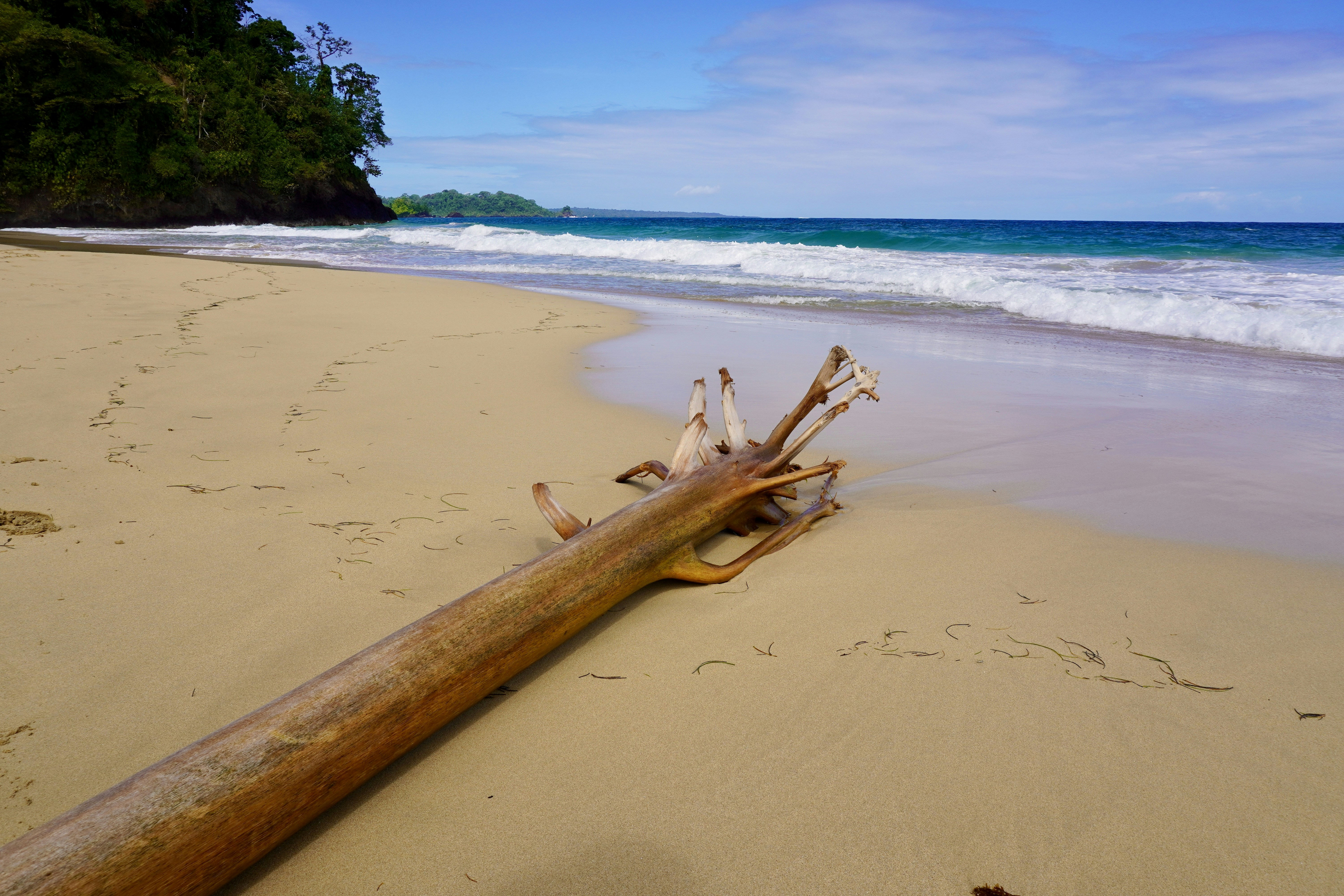 Bastimentos Islands, Bocas del Toro - Panama<br>Red Frog Beach<br><br>photo made by rouichi / switzerland
