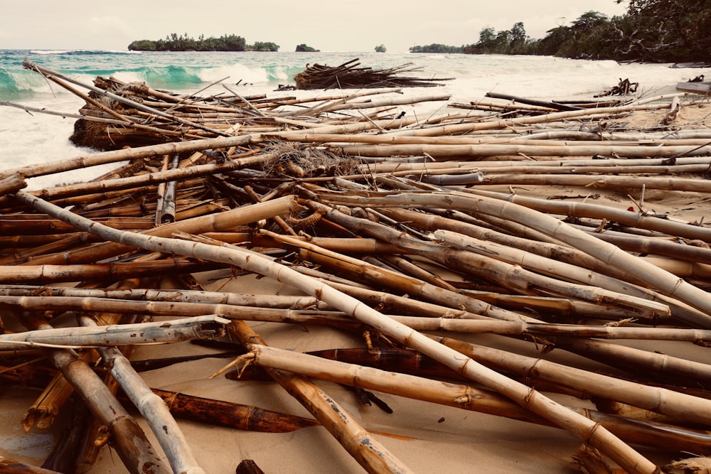 a bunch of sticks laying on top of a sandy beach