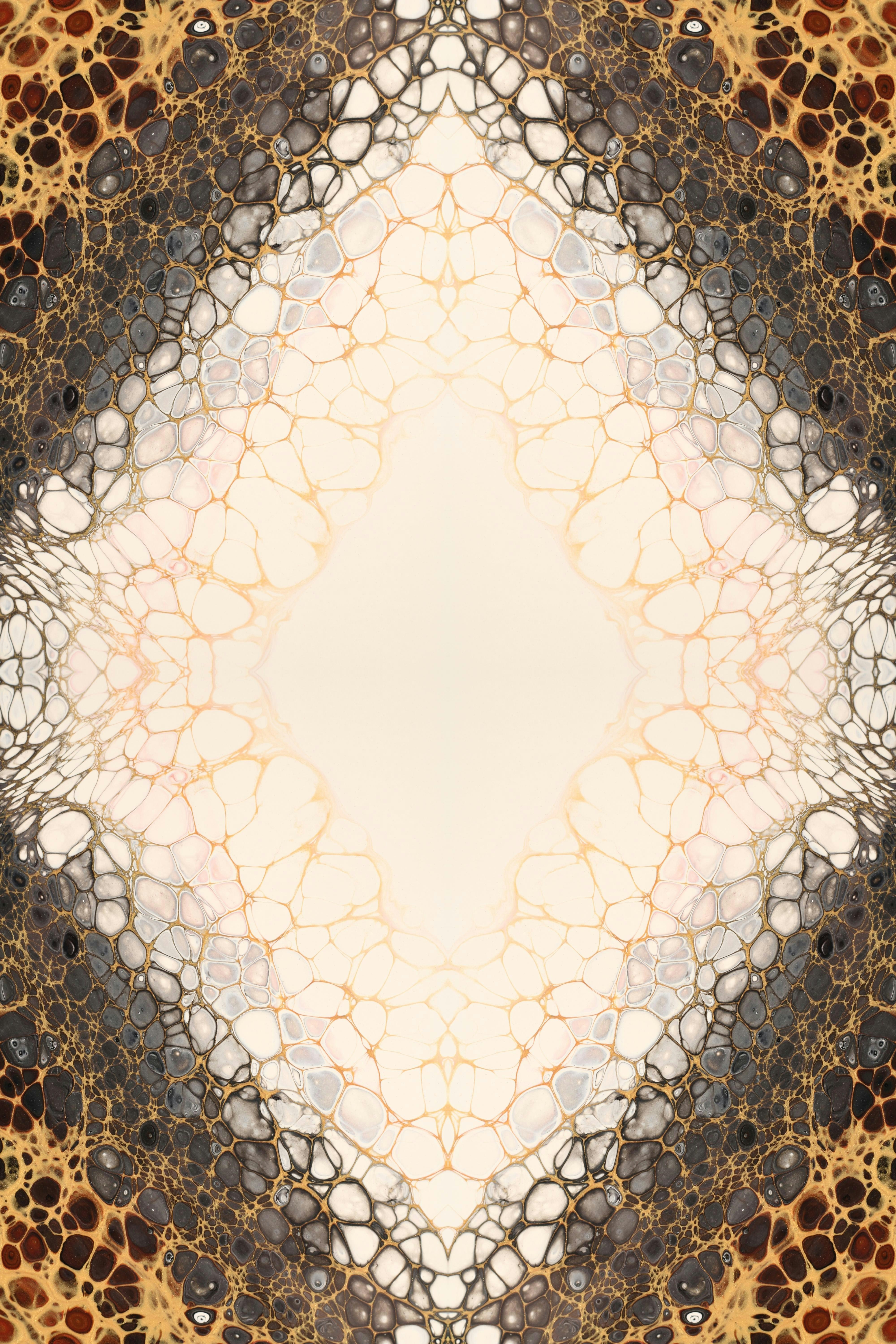 Photo by susan_wilkinson