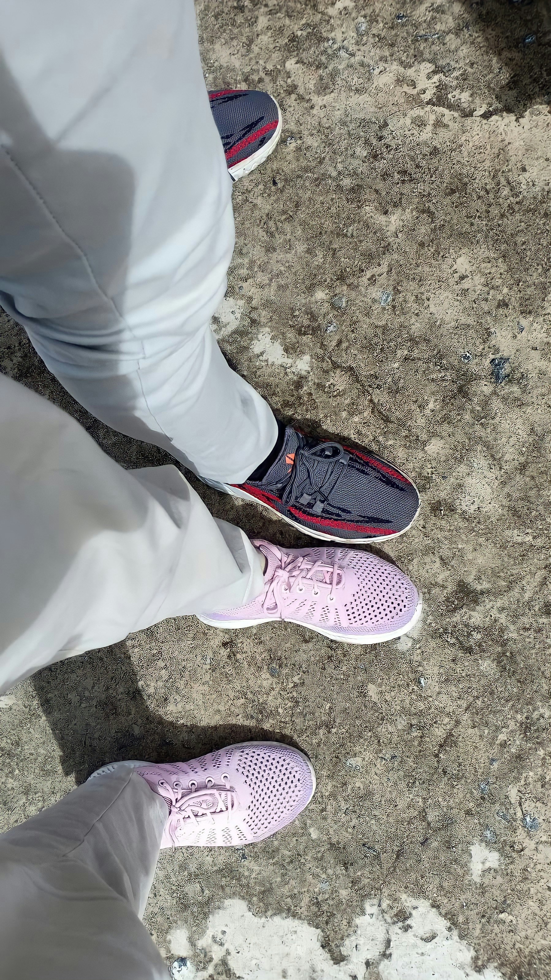 Versatile Women's Sneakers