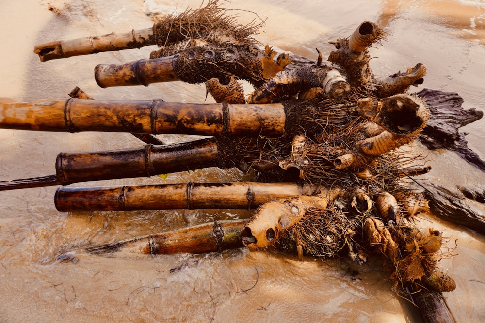 a bunch of wood sticks laying on top of a sandy beach