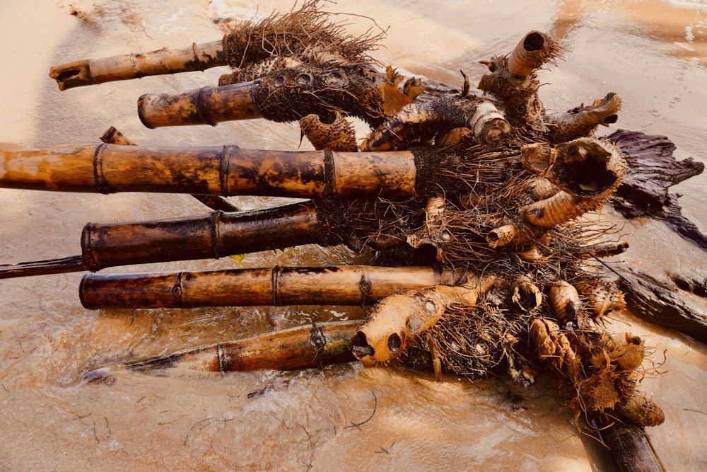 um monte de paus de madeira deitados em cima de uma praia de areia