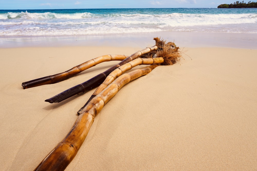 um monte de paus deitados em cima de uma praia de areia
