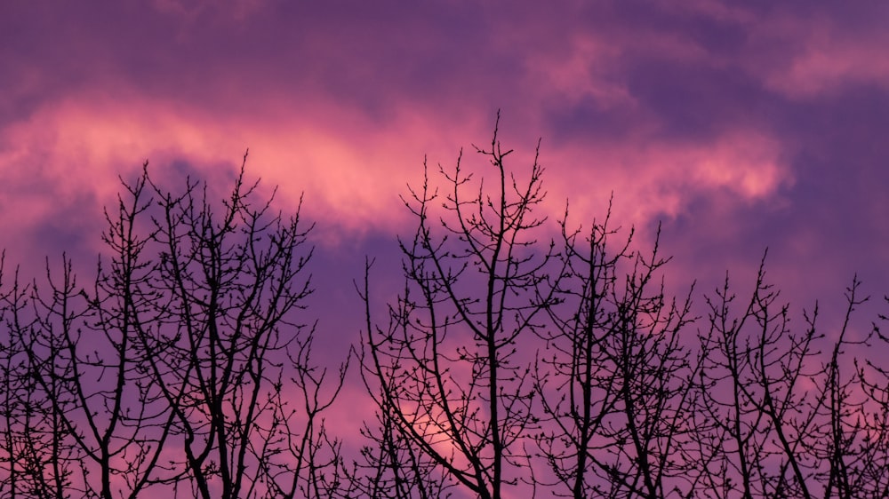 the sky is pink and purple as the sun sets