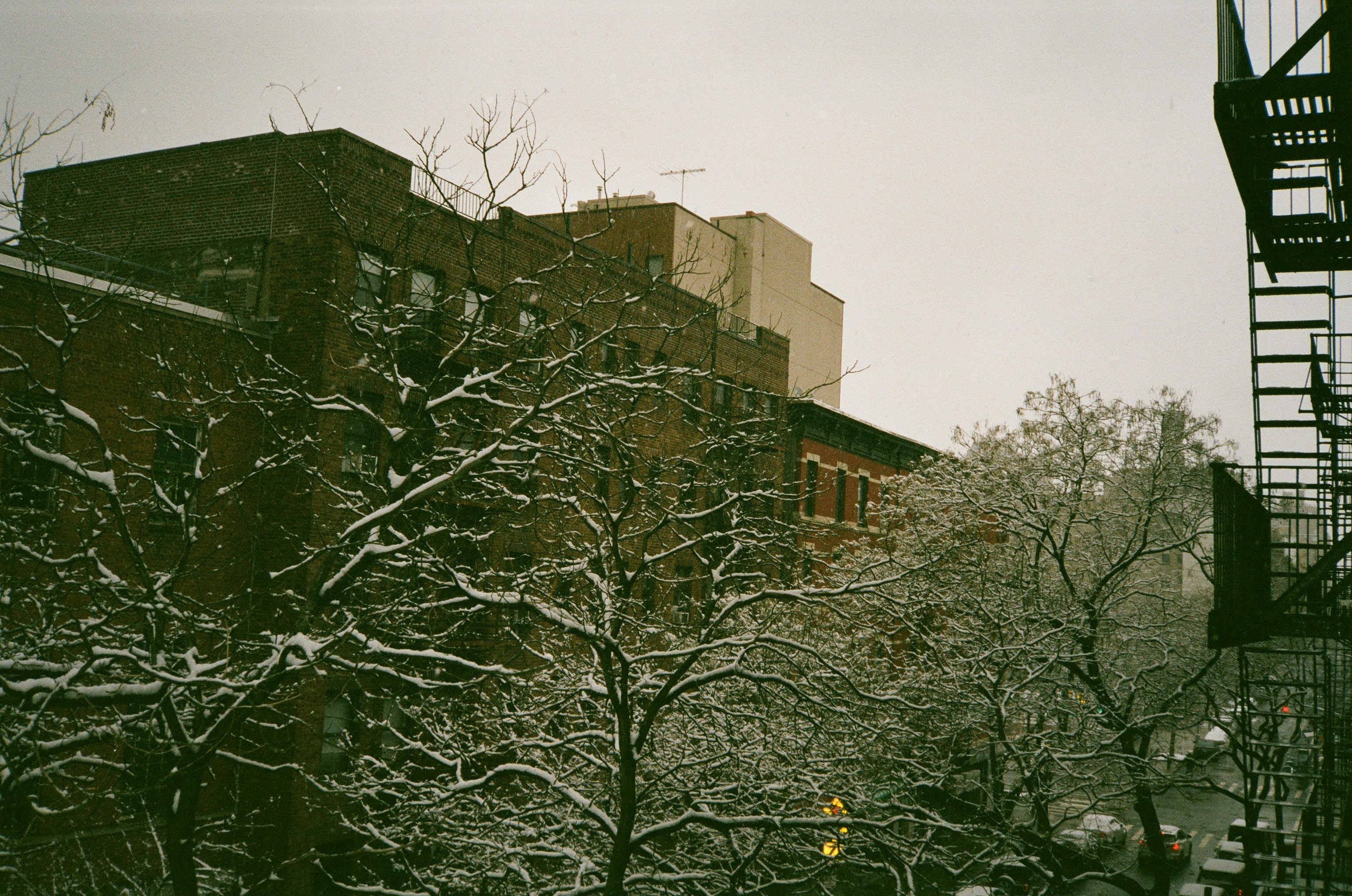 Photo by andrrewphoto