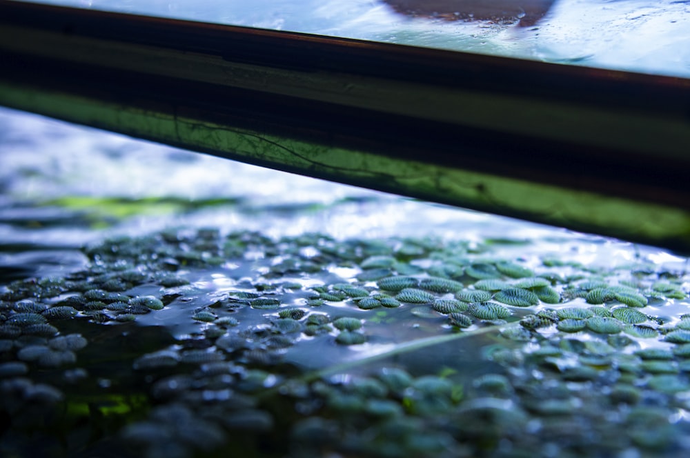 a close up of a window with water drops