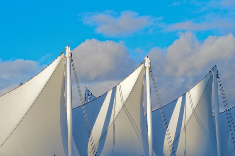 a group of sailboats sailing on a body of water