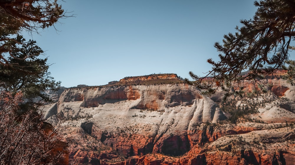 a view of a rocky mountain with trees in the foreground