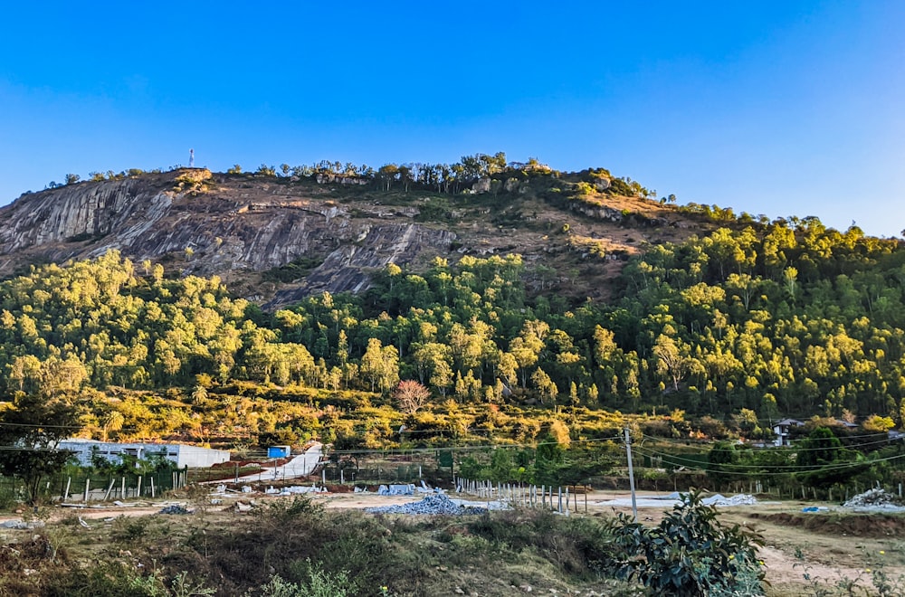 a large mountain with a forest on top of it