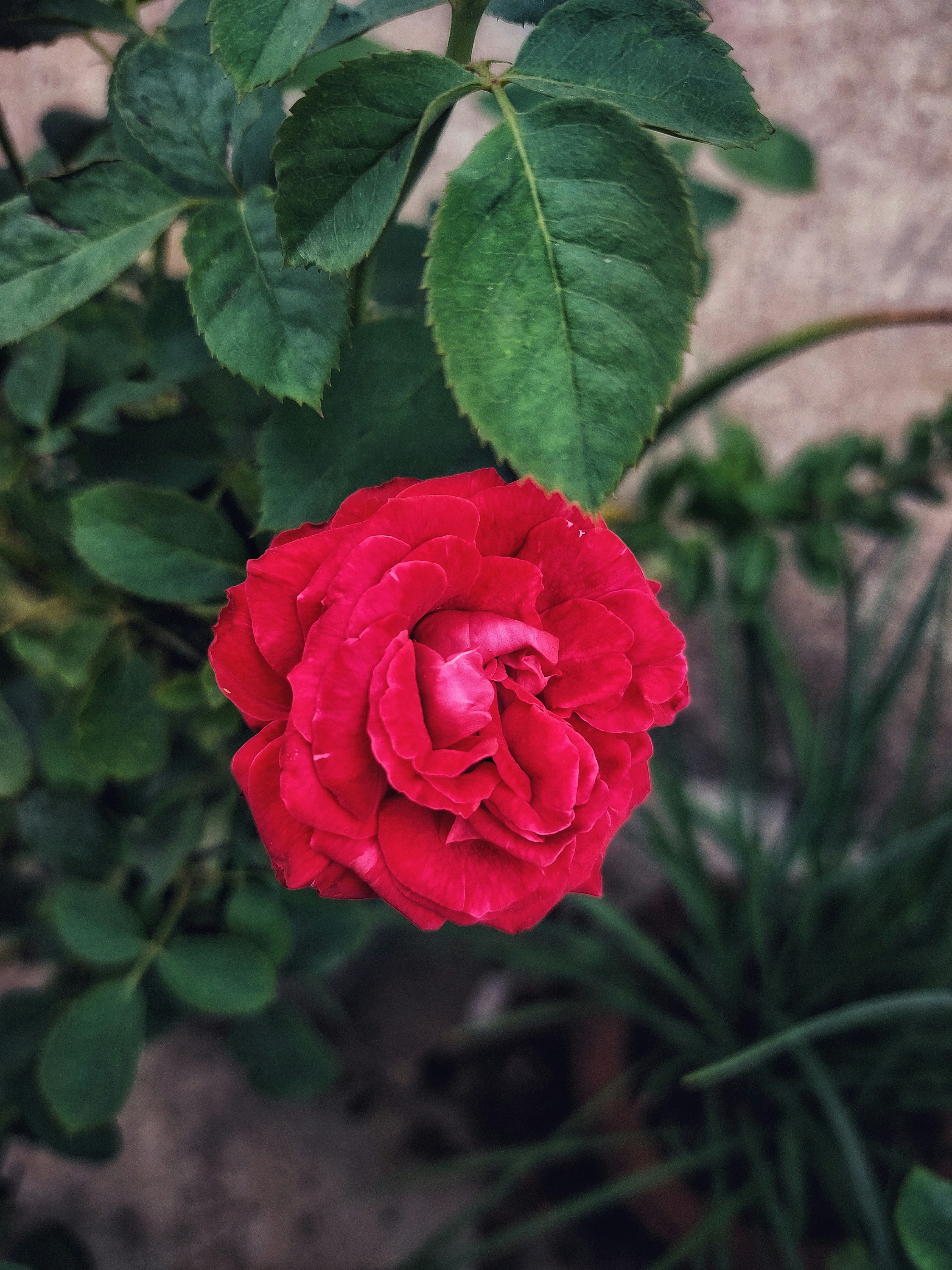 Photo by ankita_samanta