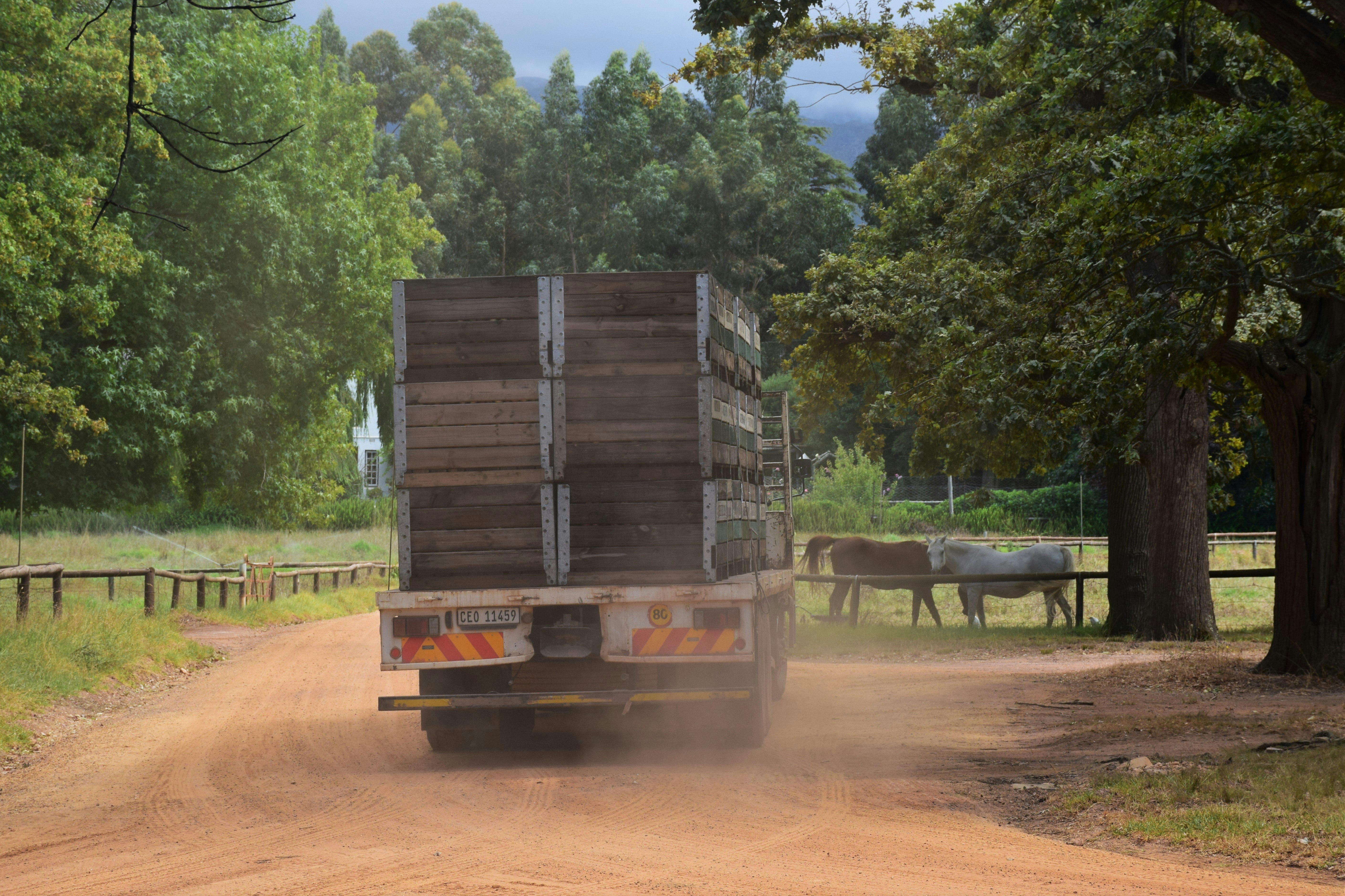 Food security: Nigeria unveils MoorBeta