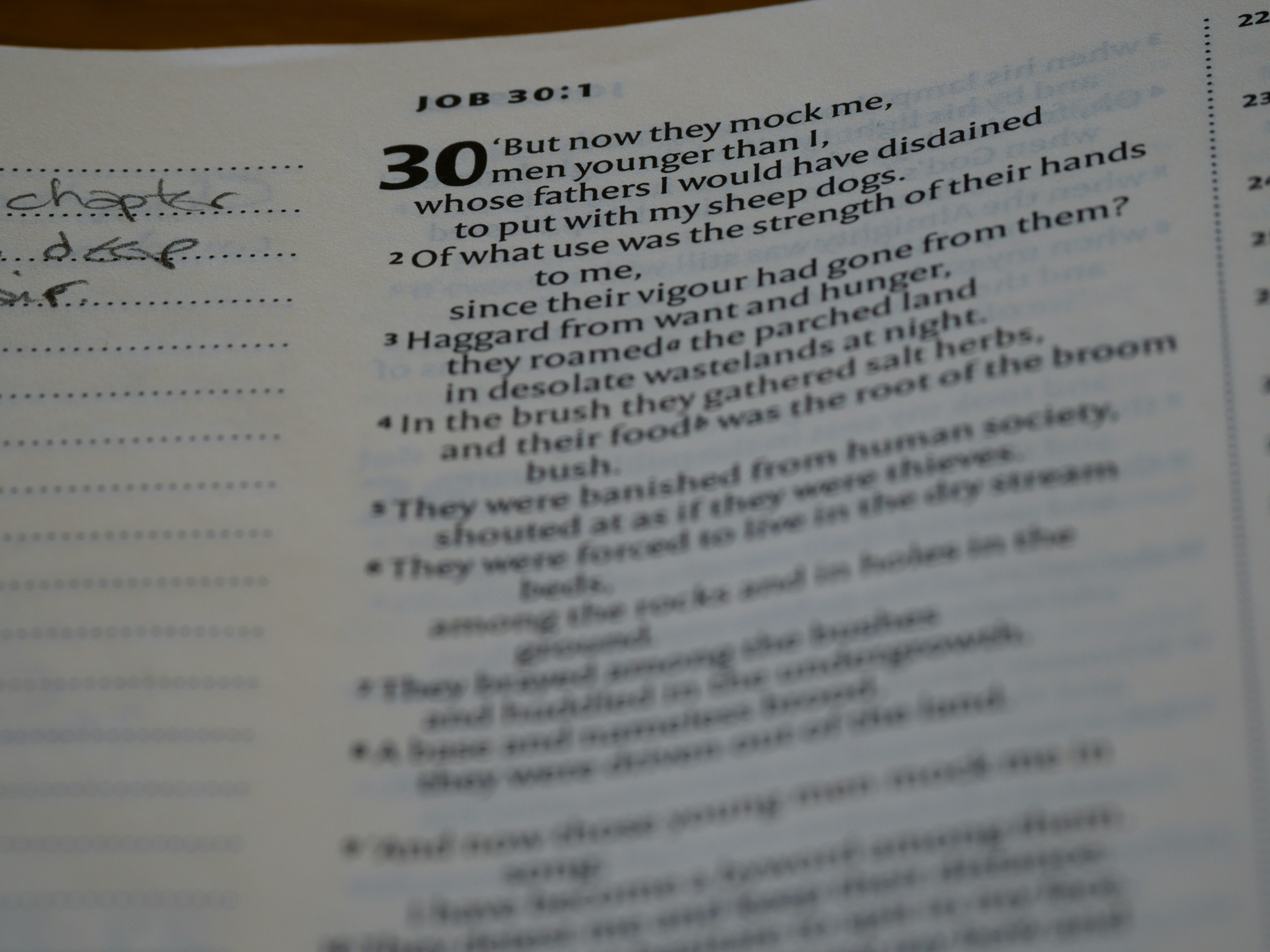 close up, bokeh, macro, blur, blurred background, close focus, bible, old testament, hebrew bible, christian, judaism, history, text, reading, bible study, devotions, text, NIV, New International Version, type, typography, canon, christianity, holy scripture, holy bible, scripture, old testament, hebrew bible, tanakh, ketuvim, book of job, job, אִיּוֹב, theodicy, satan, the accuser, הַשָּׂטָן, <br />