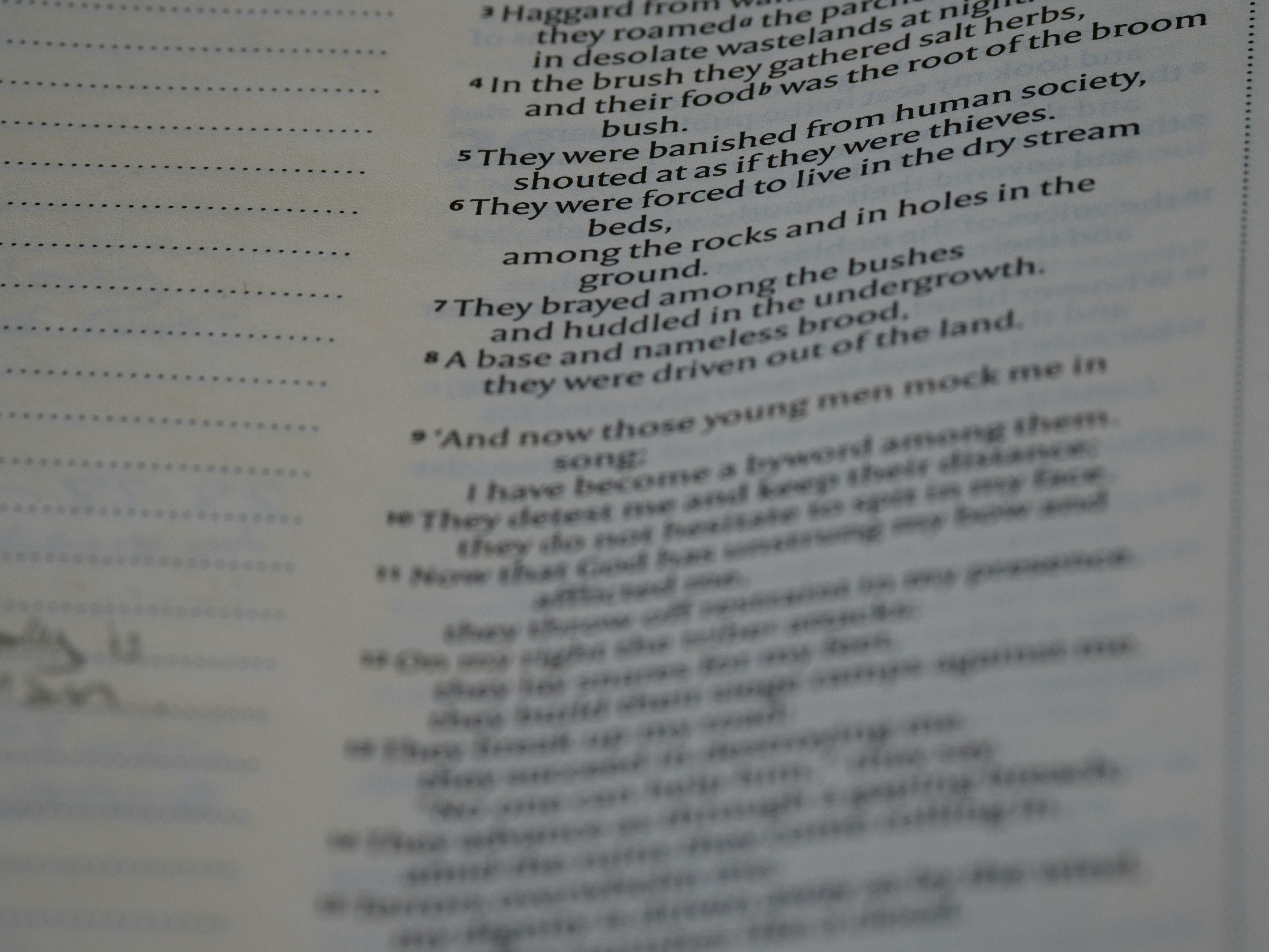 Photo by brett_jordan