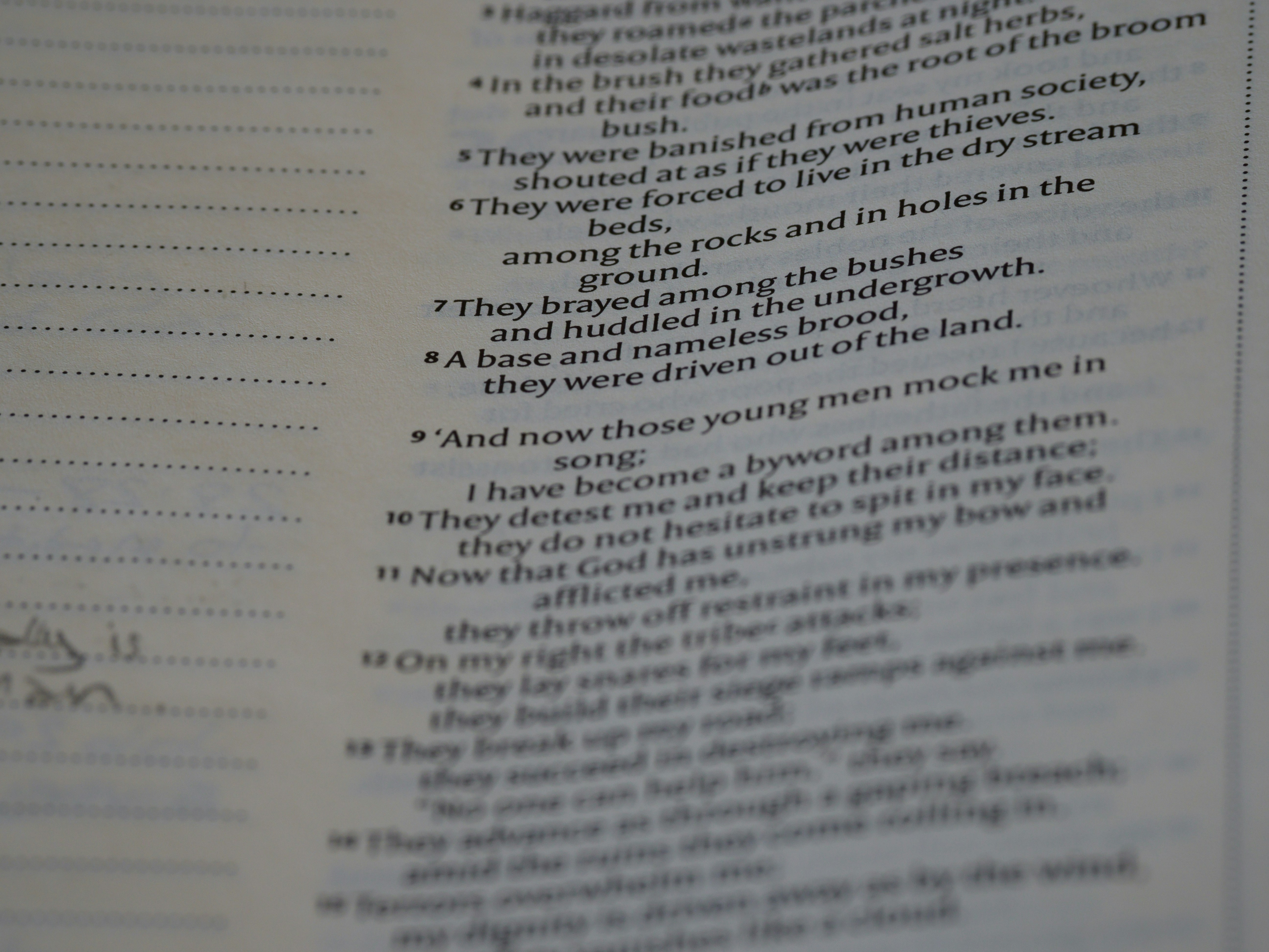 Photo by brett_jordan