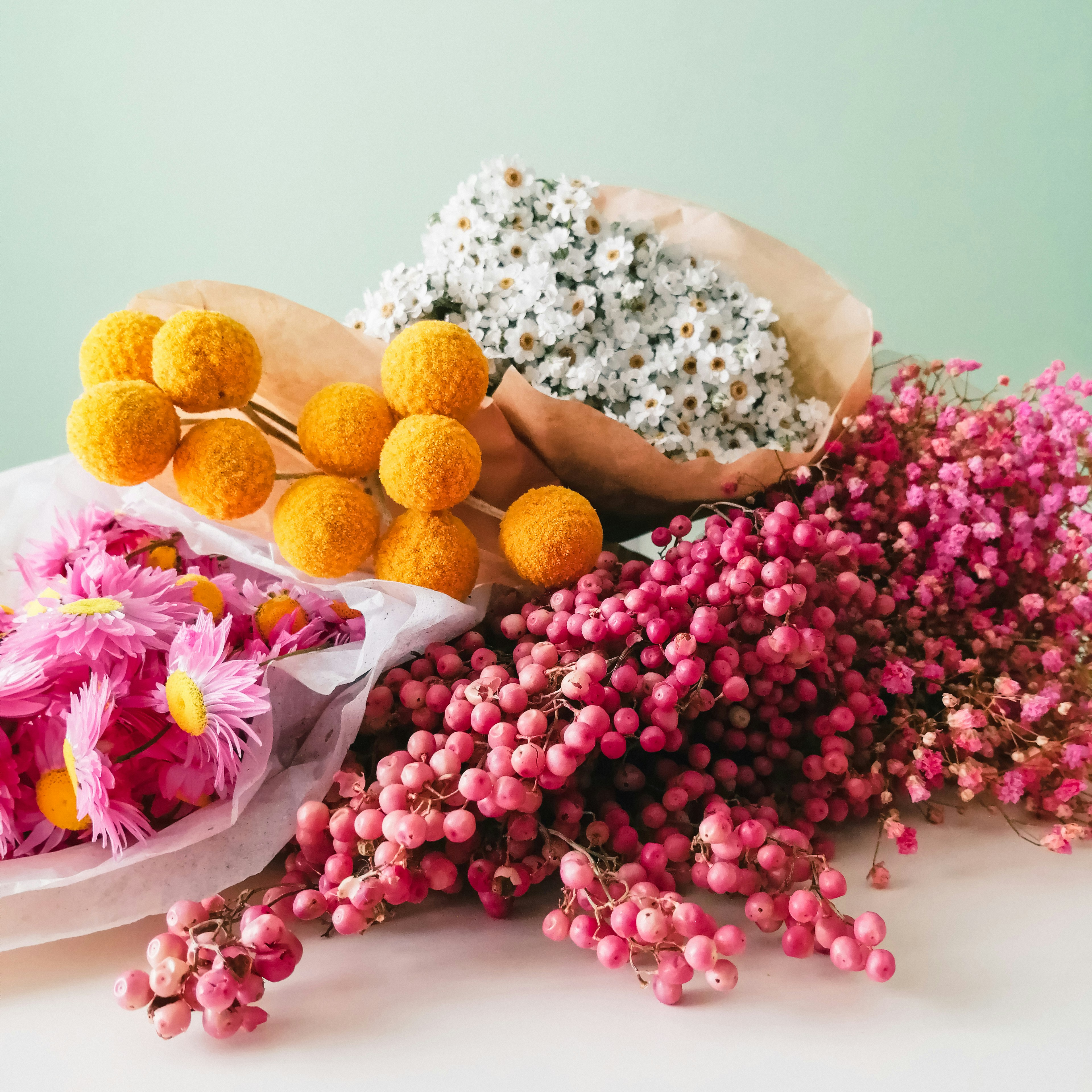 Natural herbal ingredients including arnica flowers used in pain relief cream formulas
