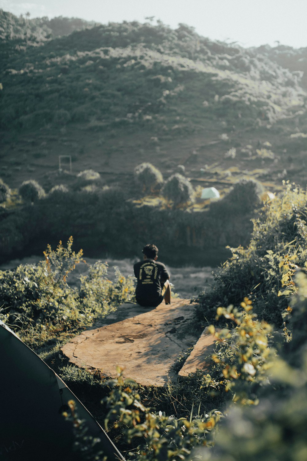 a person sitting on a rock in the middle of a field