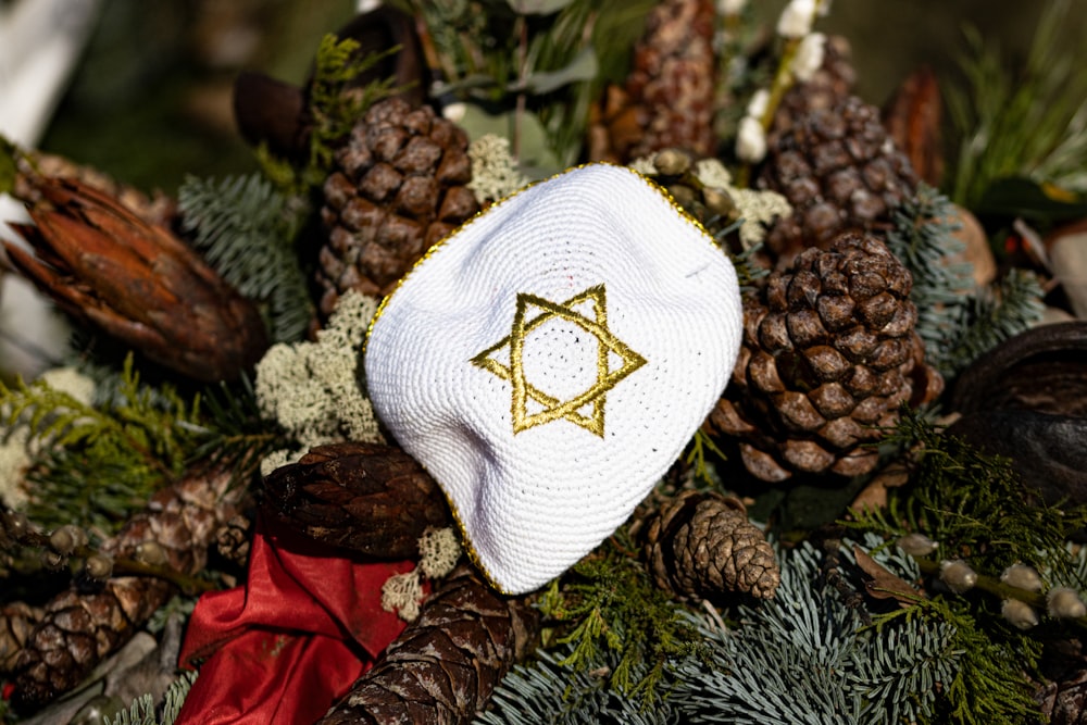 a star of david on top of pine cones