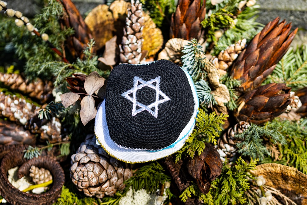 a black and white hat sitting on top of pine cones