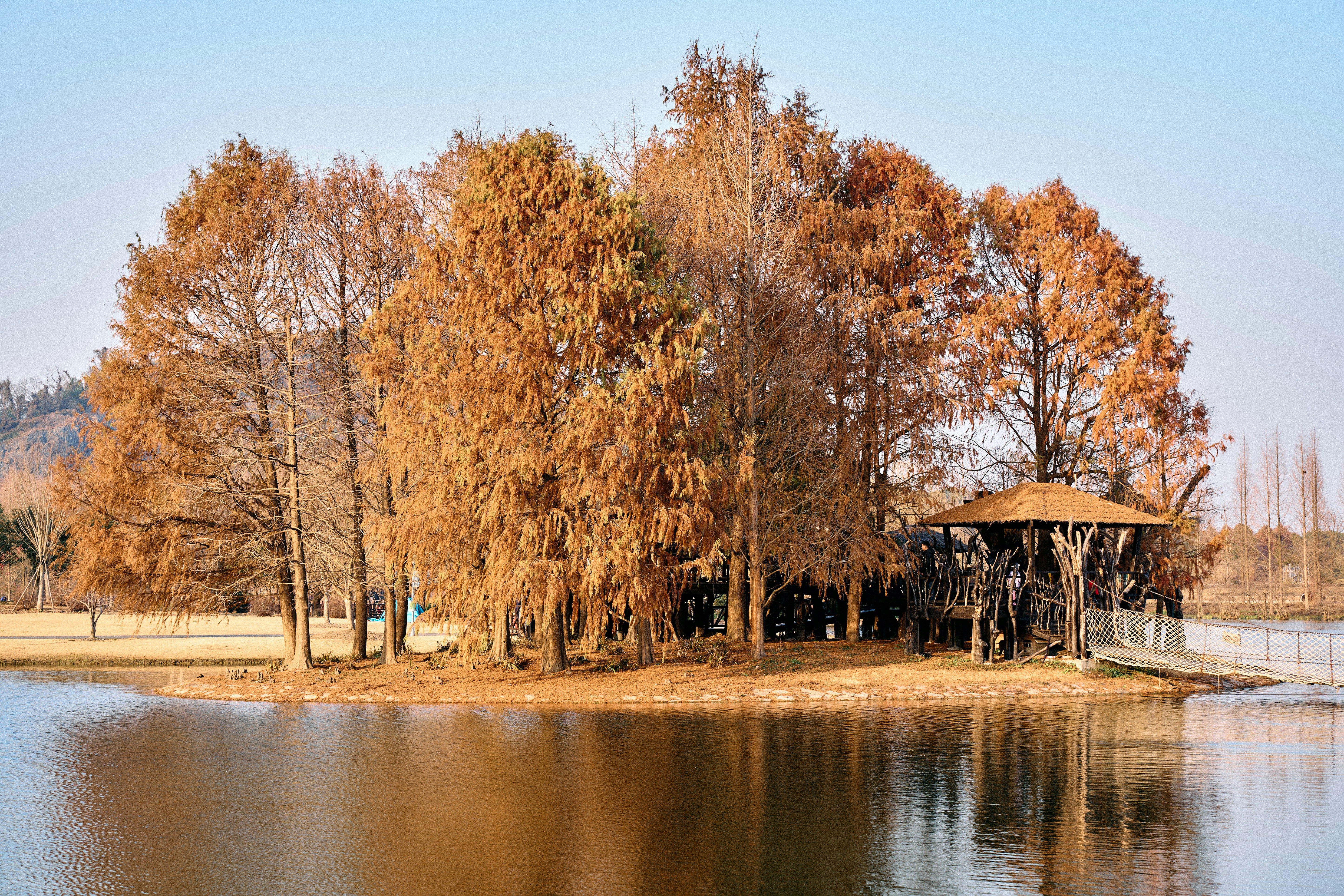 Photo by xingyechiang