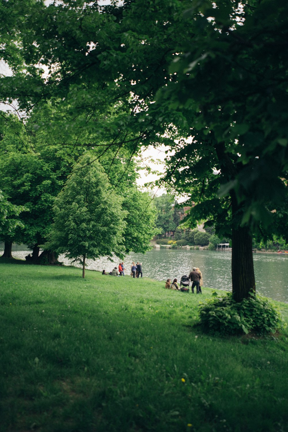 a group of people sitting on a lush green field next to a lake