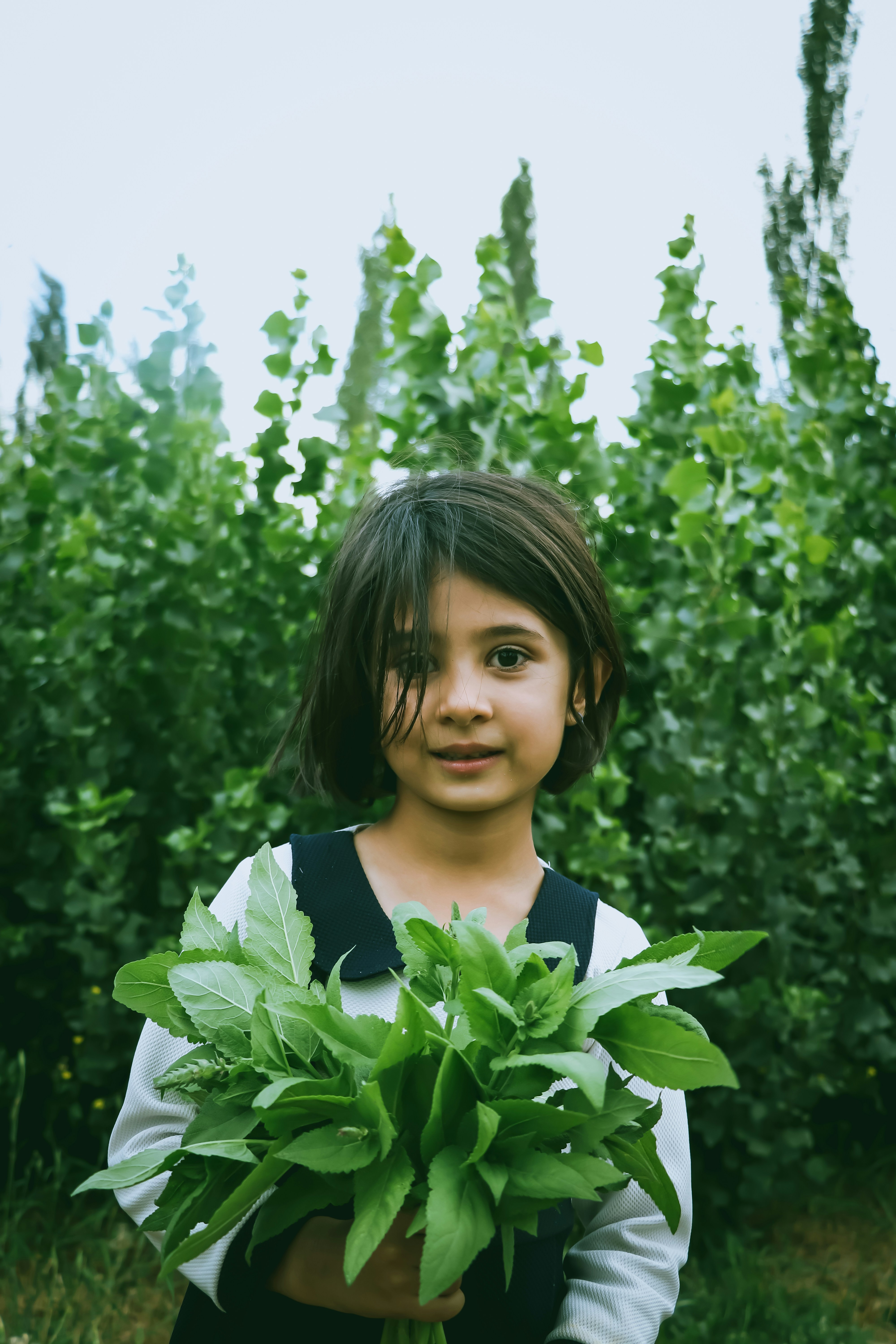 Photo by ehsaneslami