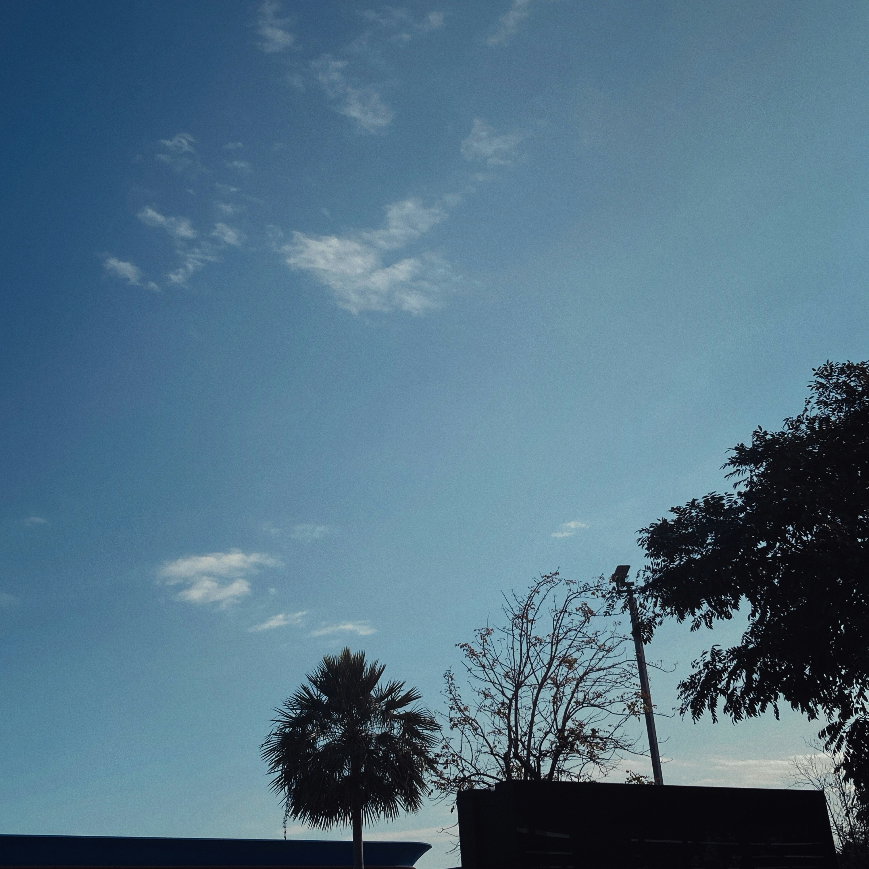 Photo by flowerandfriends