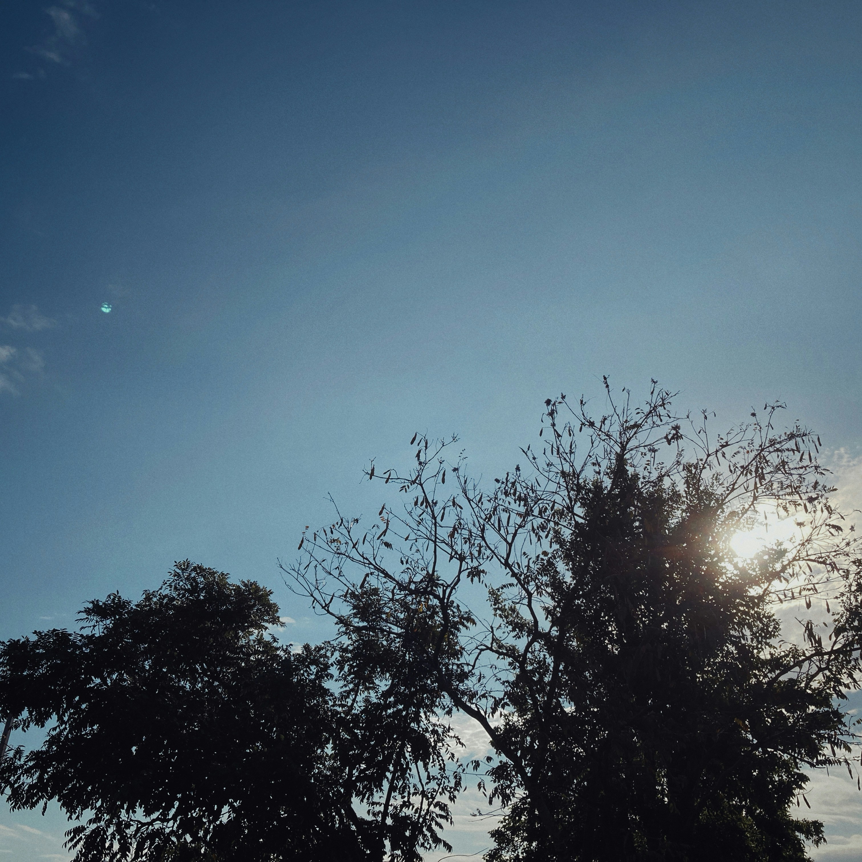 Photo by flowerandfriends