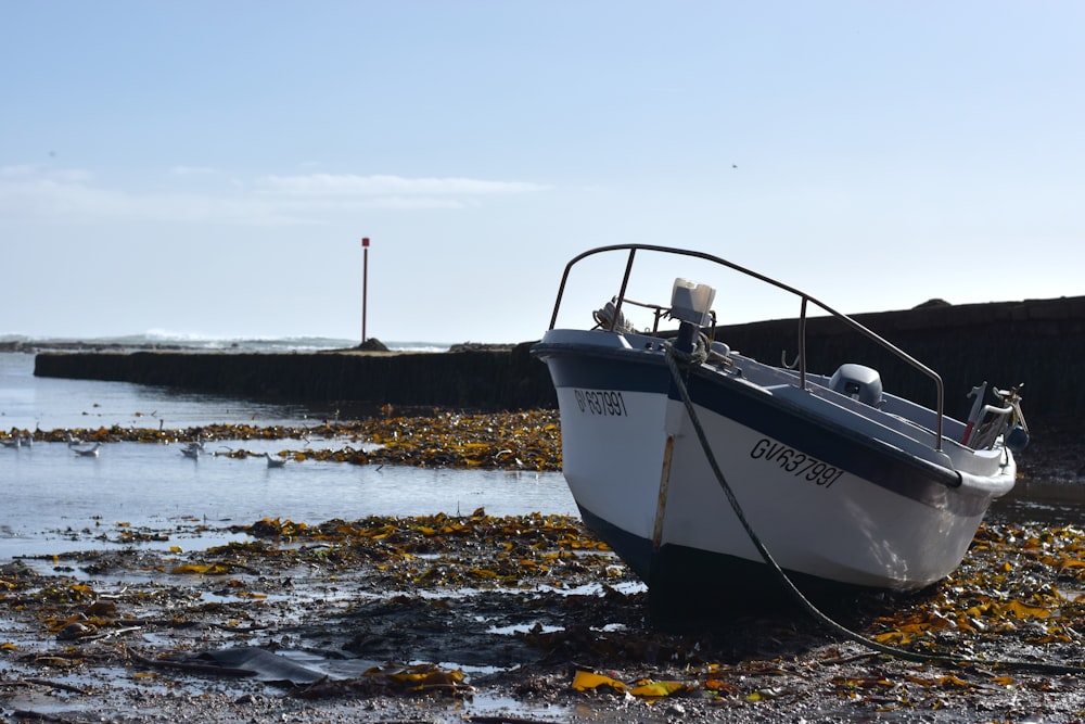 a boat sitting on top of a beach next to a body of water