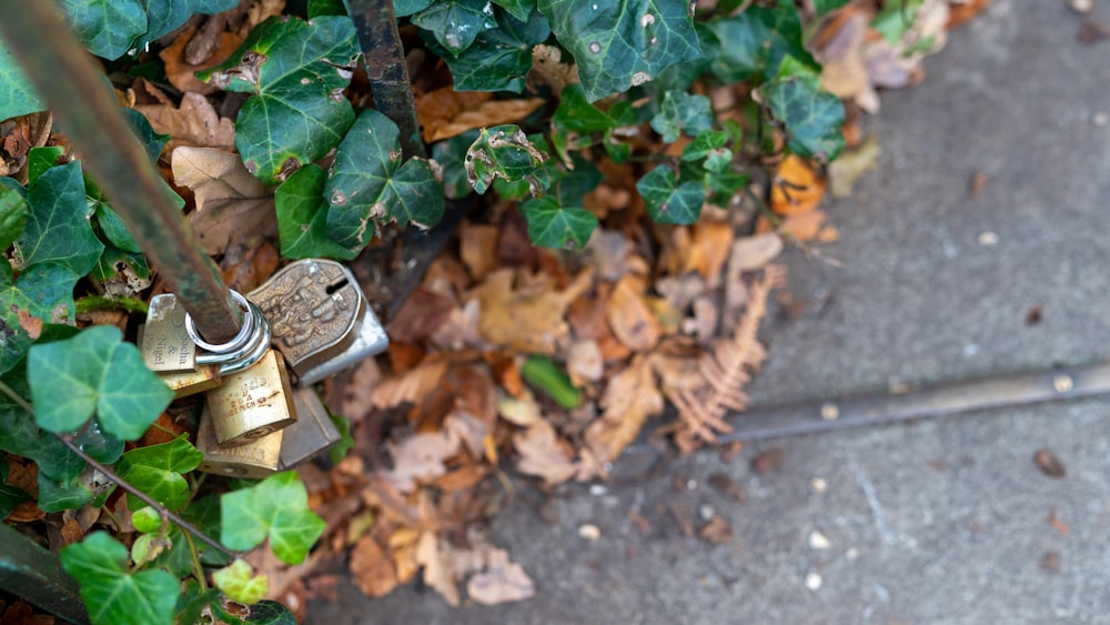 a couple of keys that are on a fence