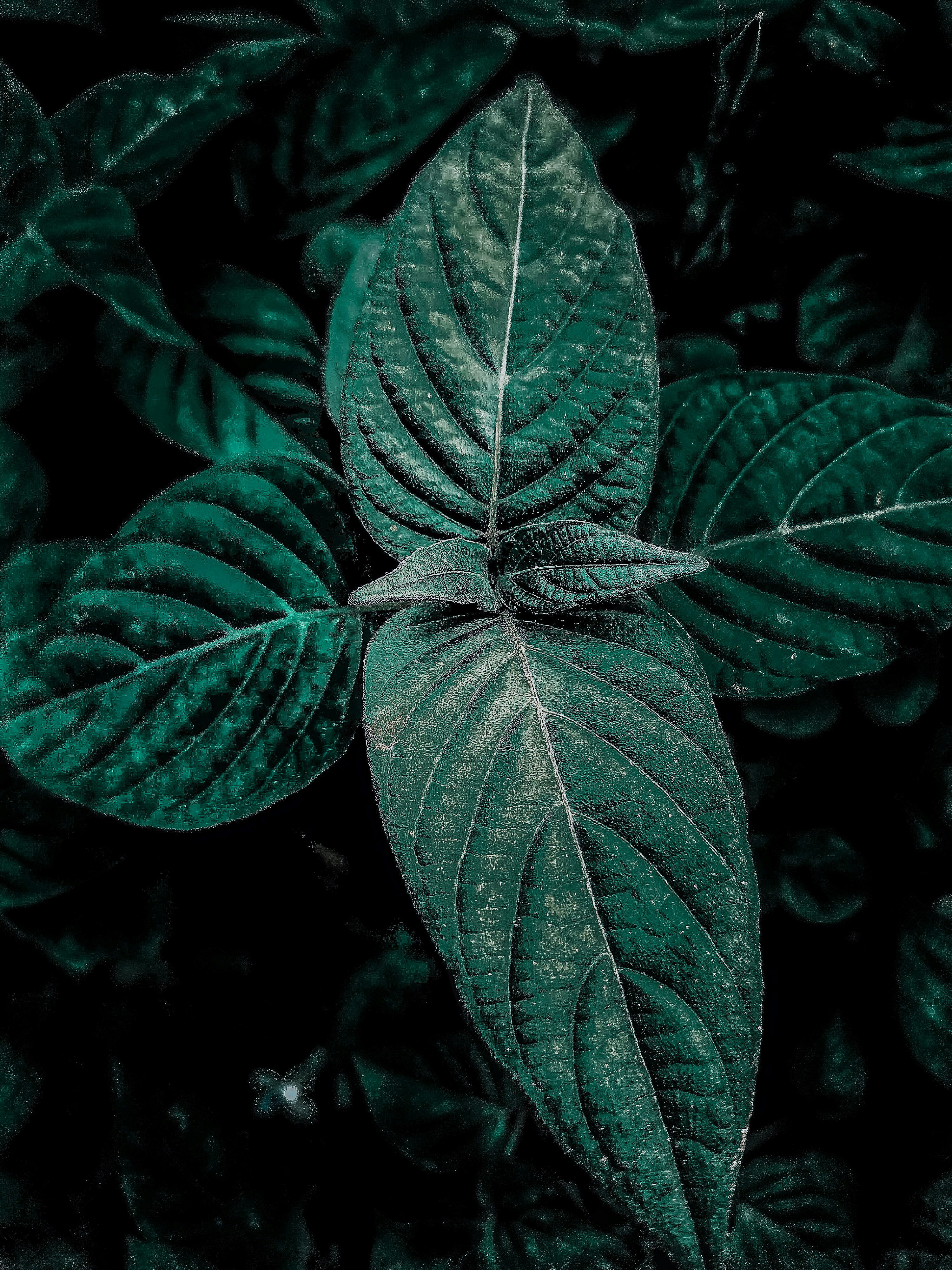 Photo by tamy_wahyudidailamy