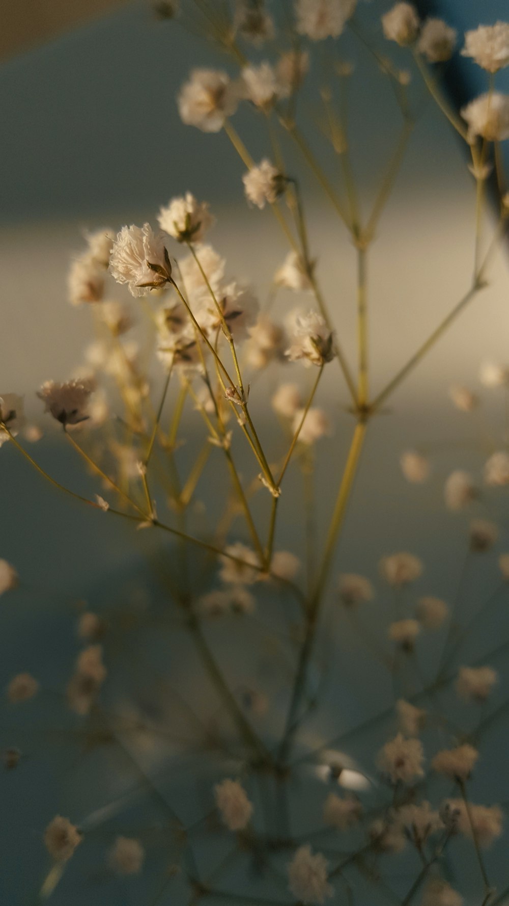 テーブルの上の花の束のクローズアップ