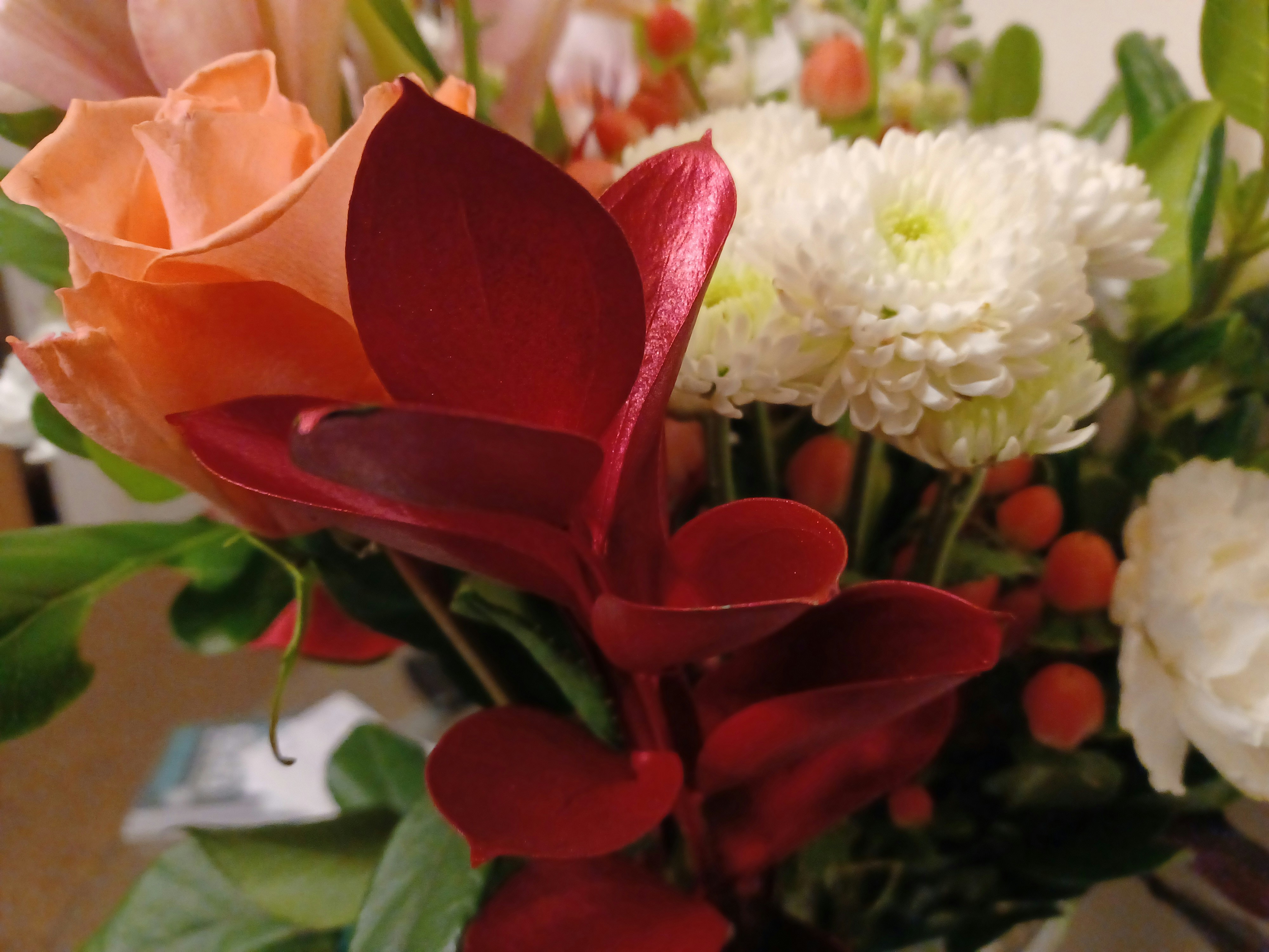 Photo by sounznature