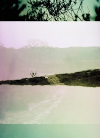 An artistic depiction of exceptional experiences created by mistara.